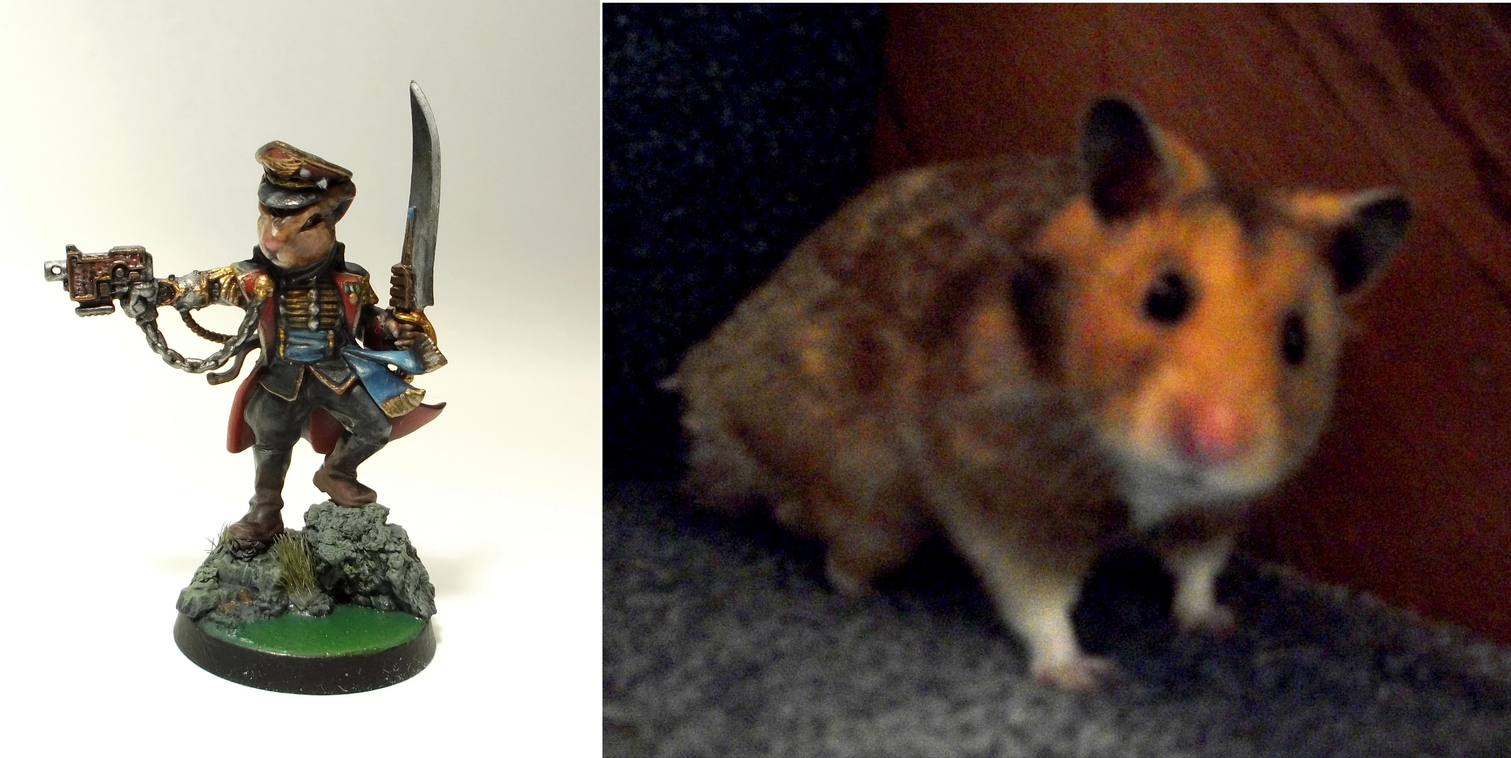 Commissar, Hamster, Commissar McDuff and Actual McDuff