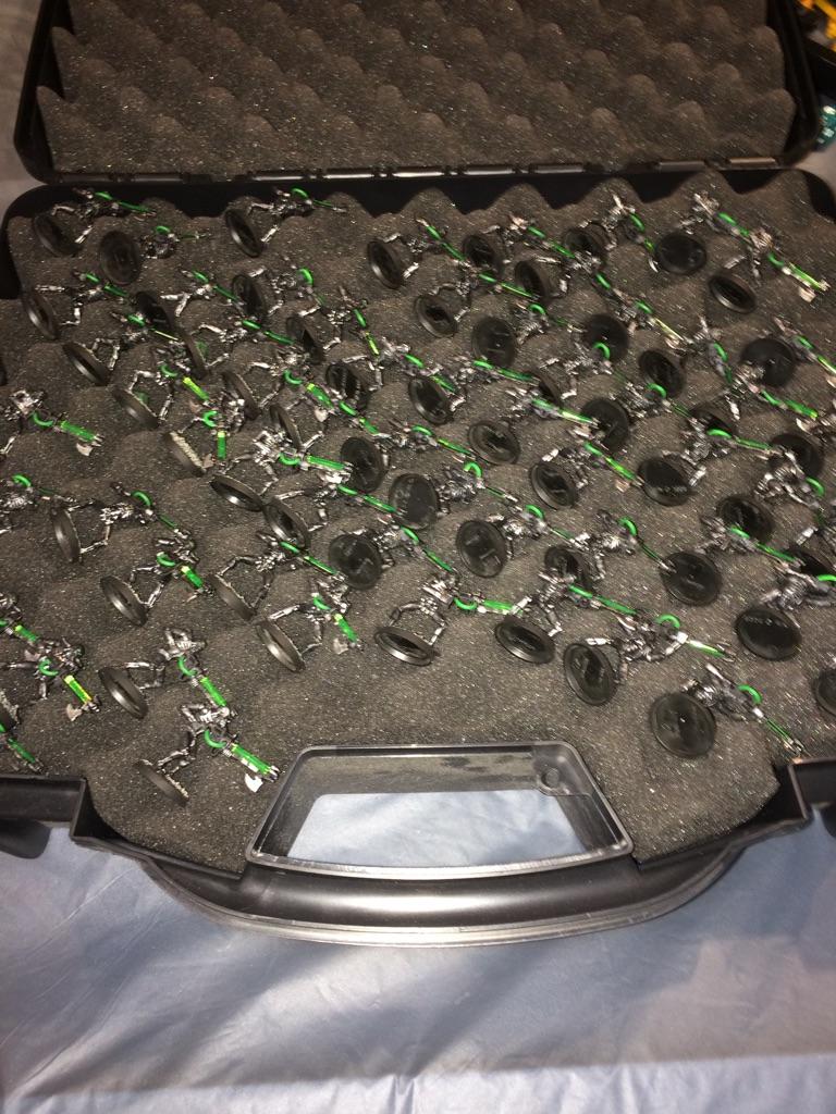 Necrons in case