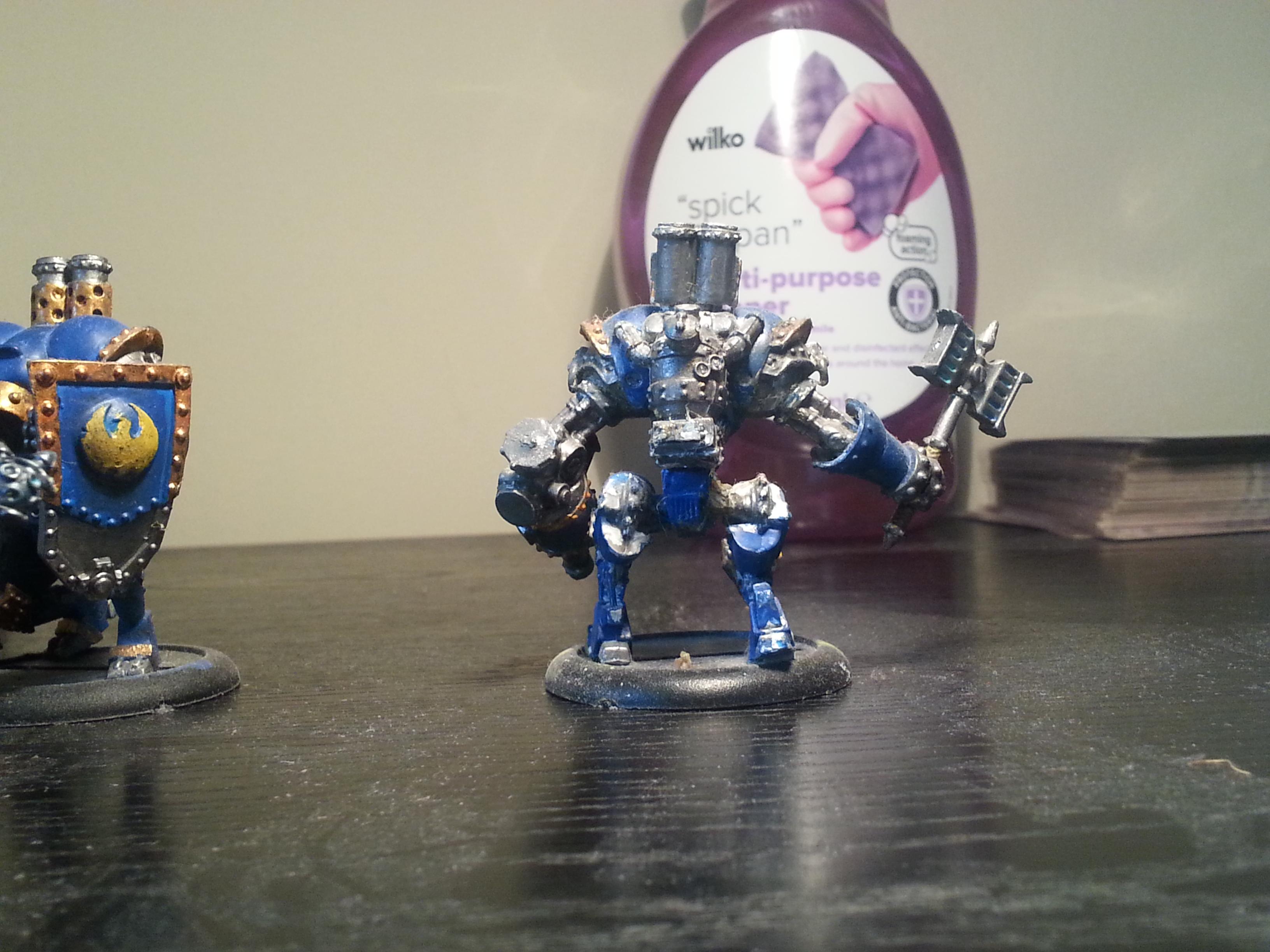 Cygnar Back
