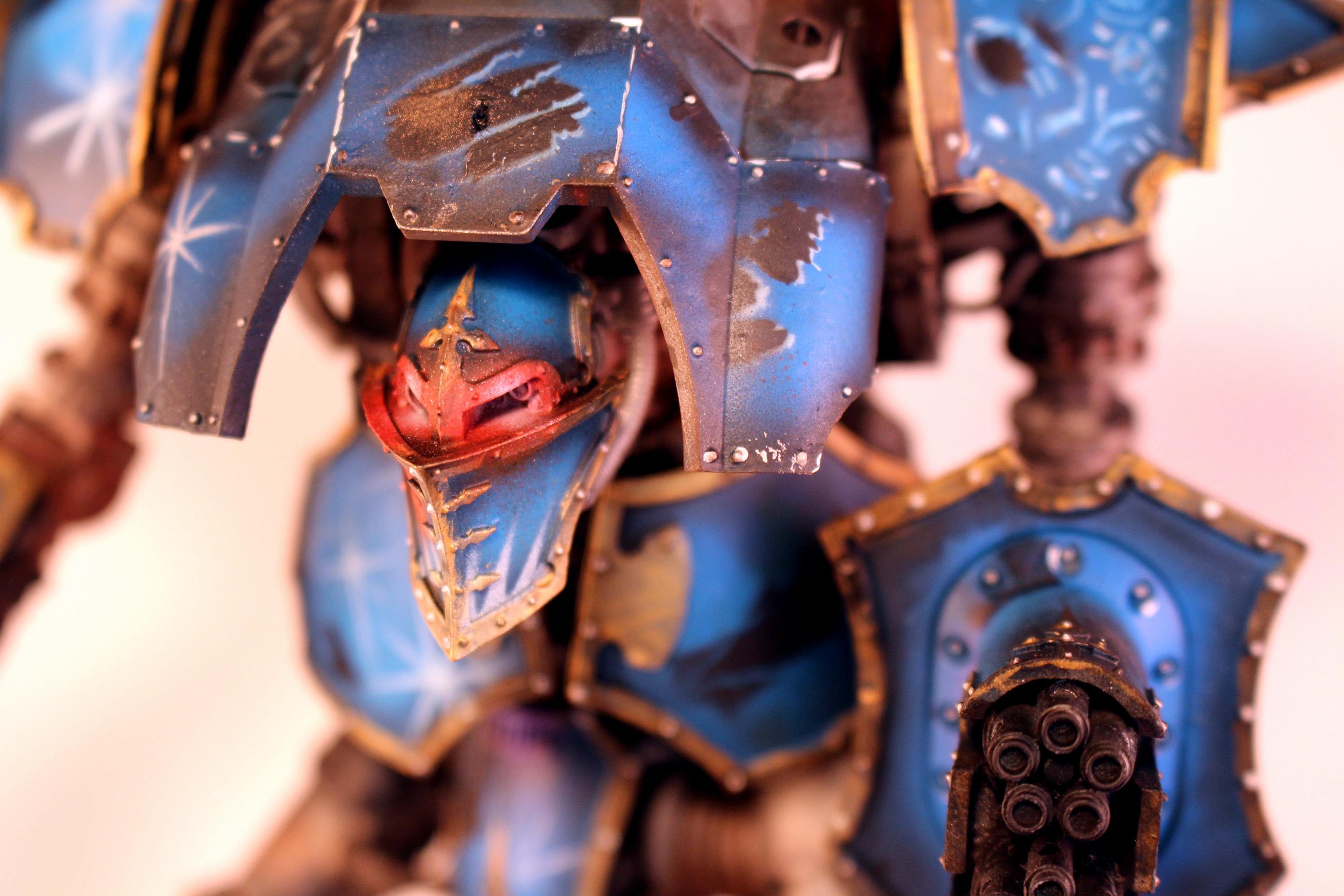 Knight Castigator, Knights