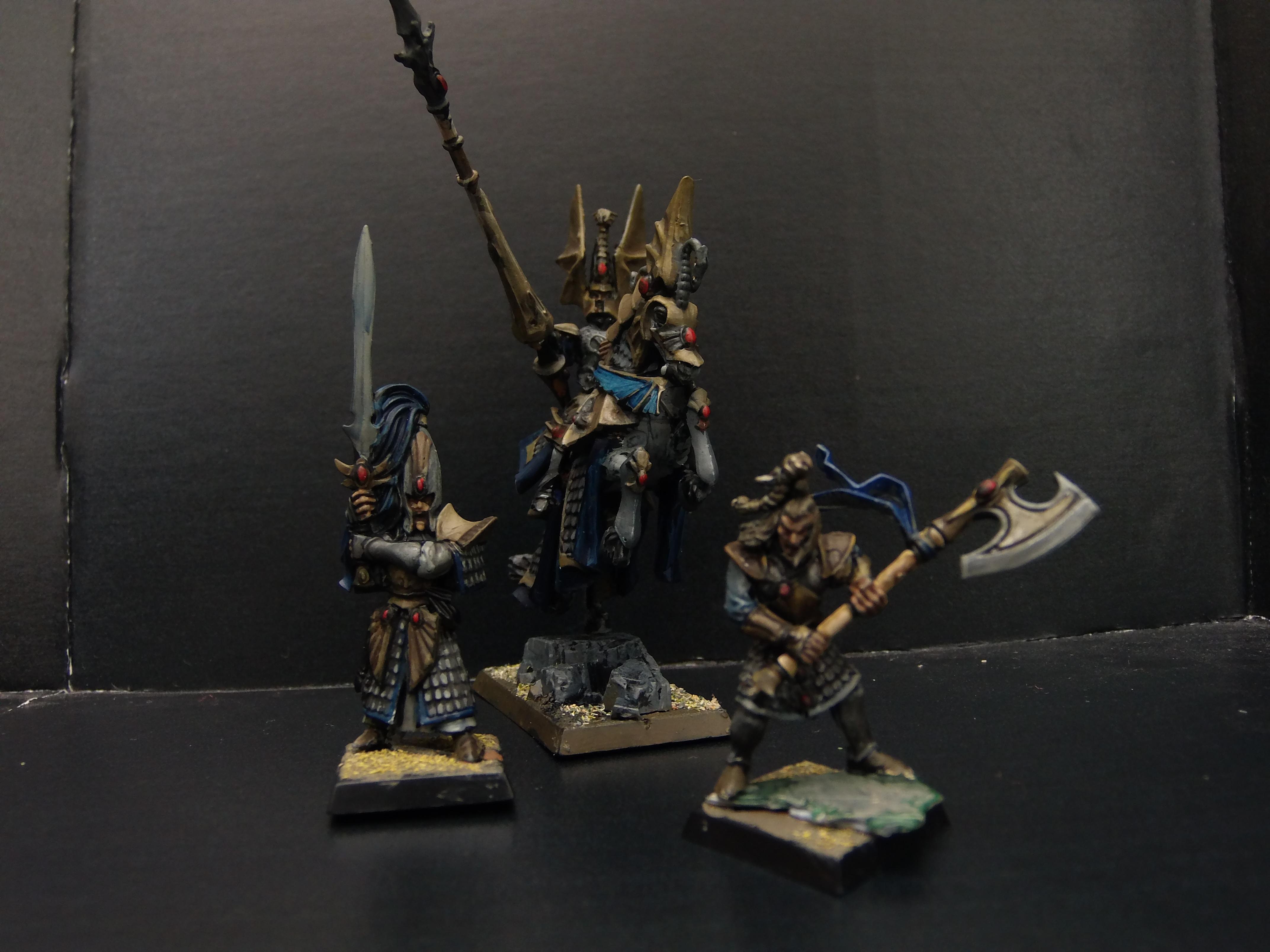 Elves, High Elves, Non-Metallic Metal, Warhammer Fantasy, Wfb, White Lion