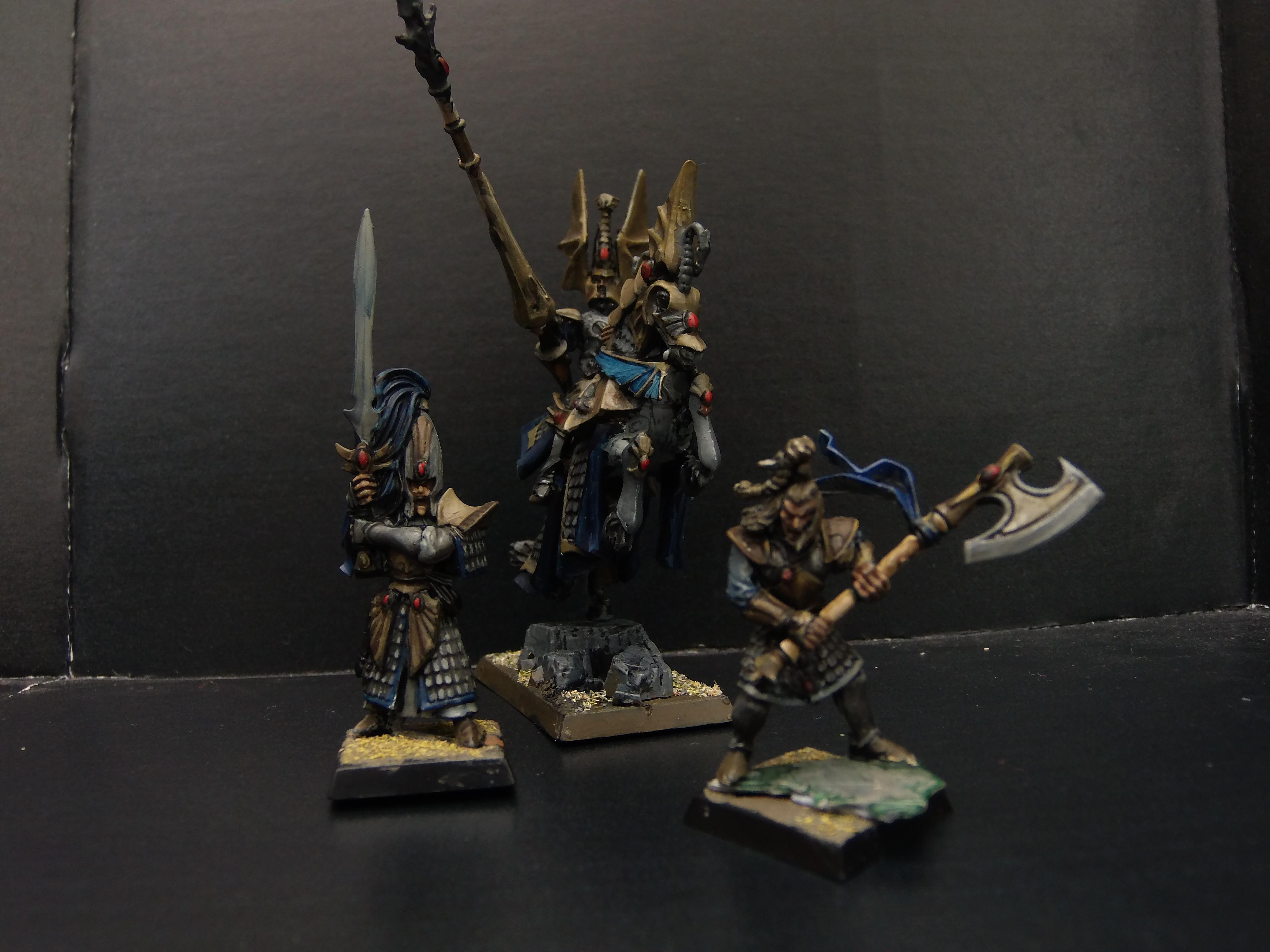 Elves, High Elves, Non-Metallic Metal, Warhammer Fantasy, Wfb, White Lion