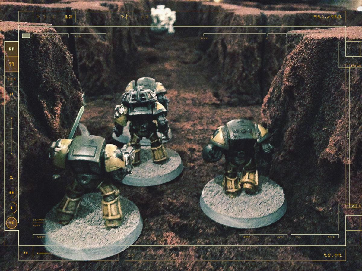 Tiger Claws Boarding 1