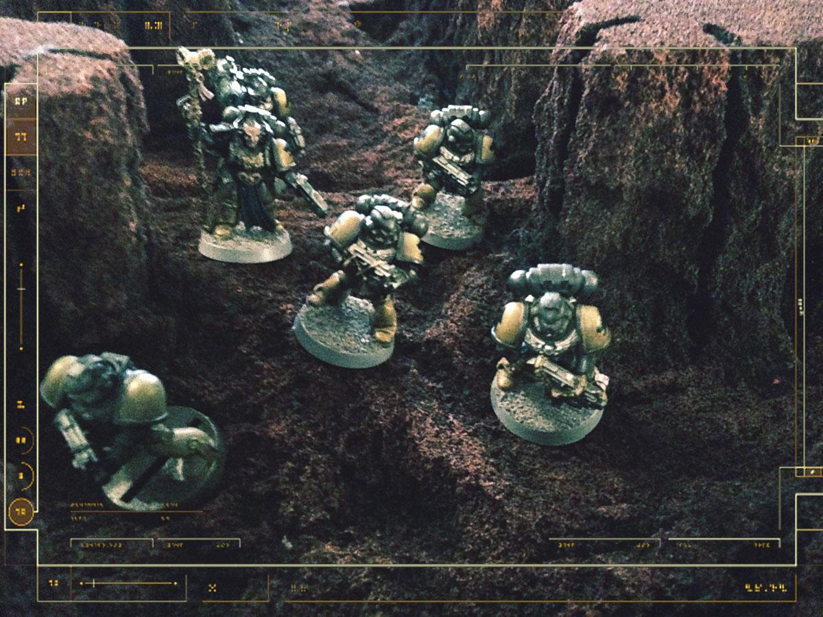 Tiger Claws Boarding 4