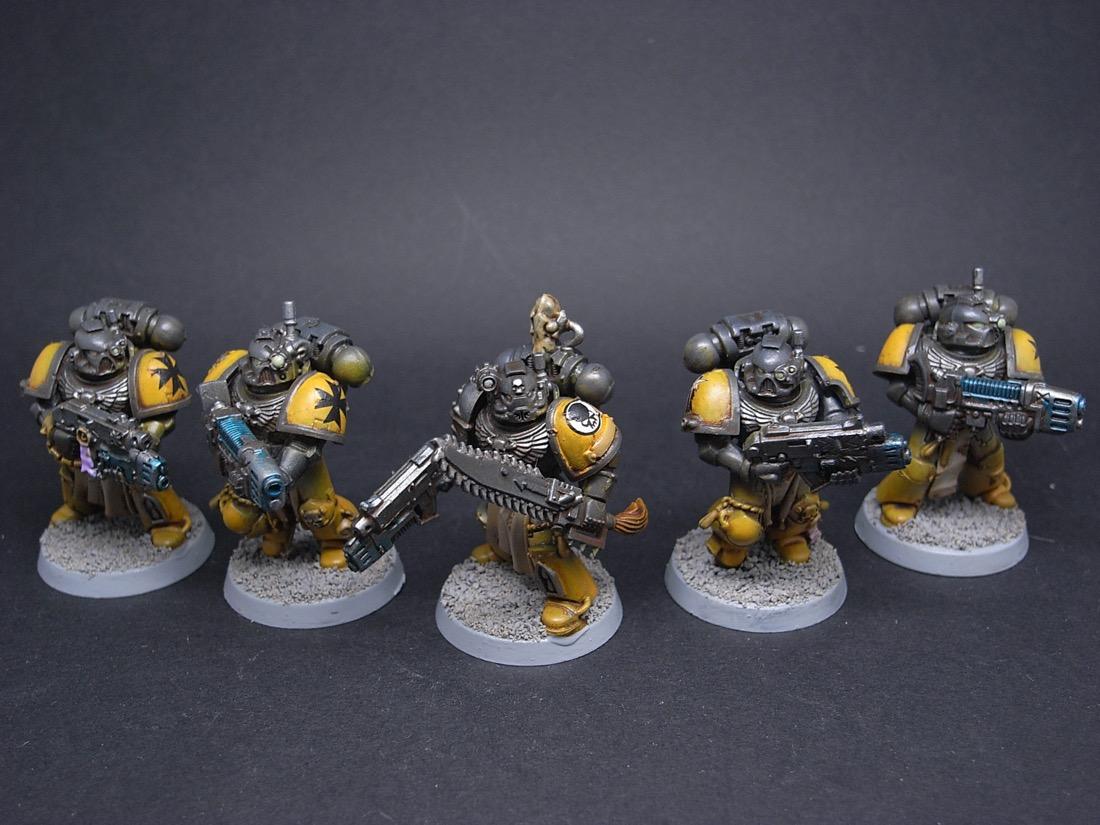 Tiger Claws Sternguard 1