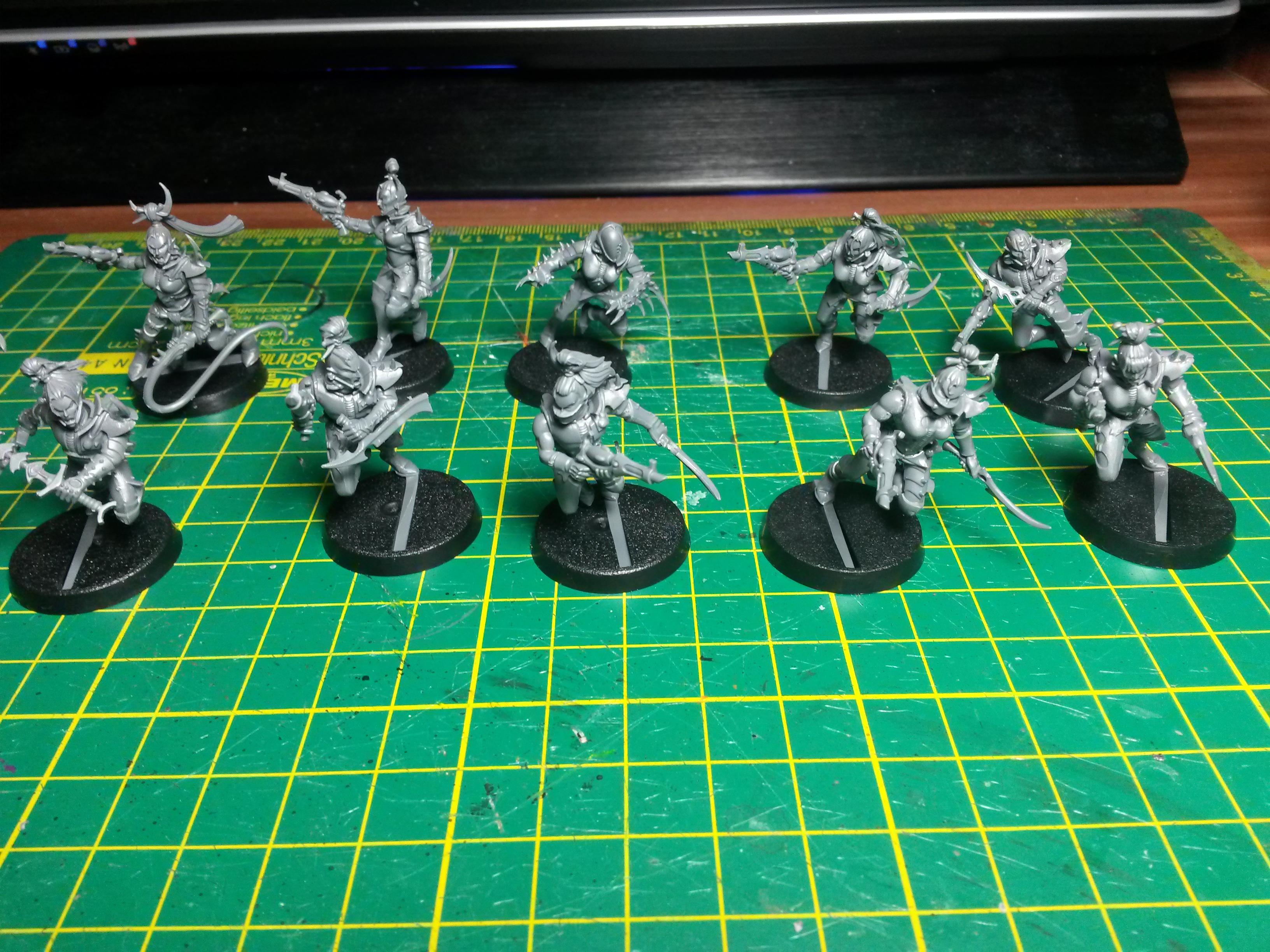 Wyches WIP