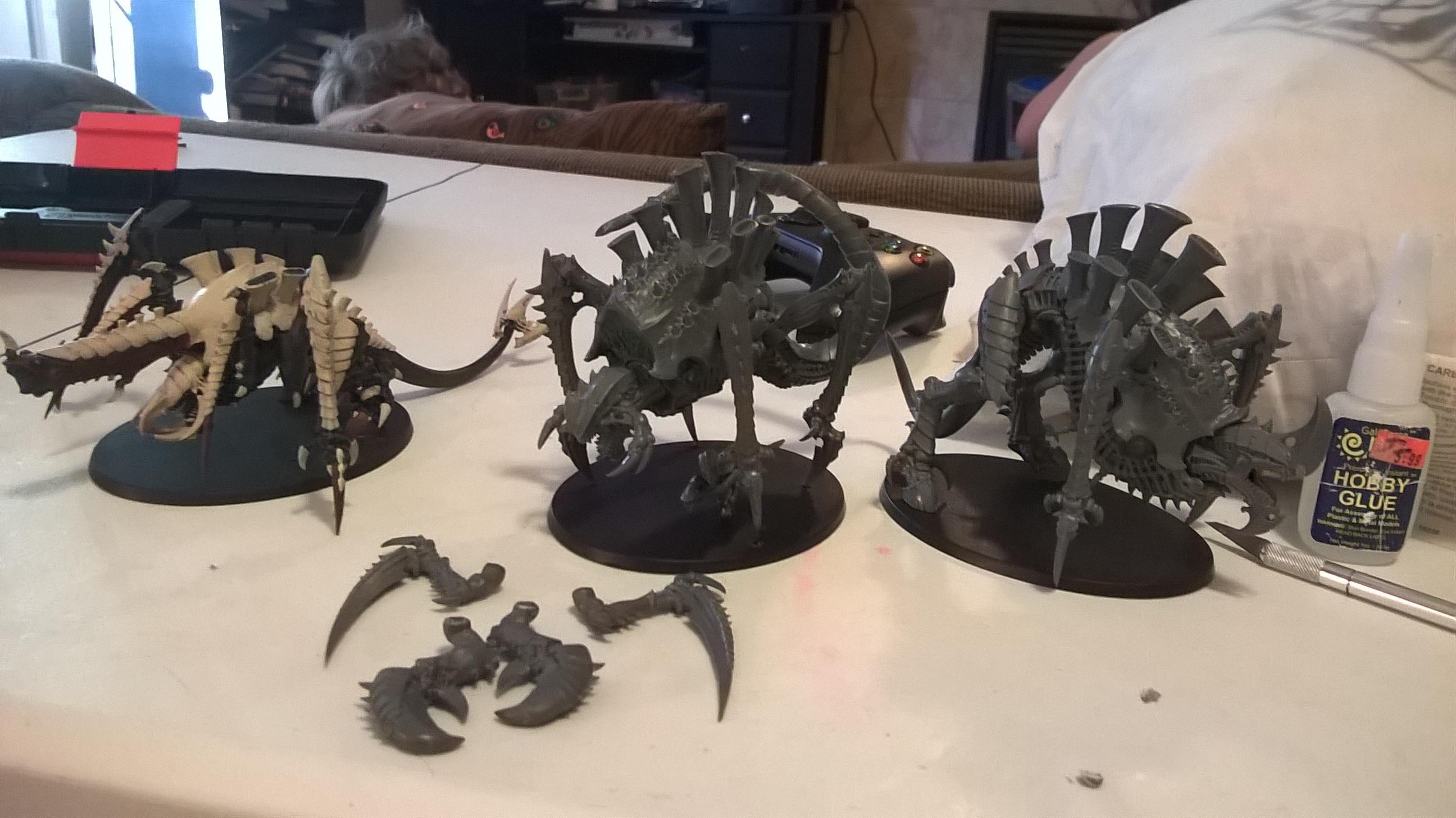 size comparison