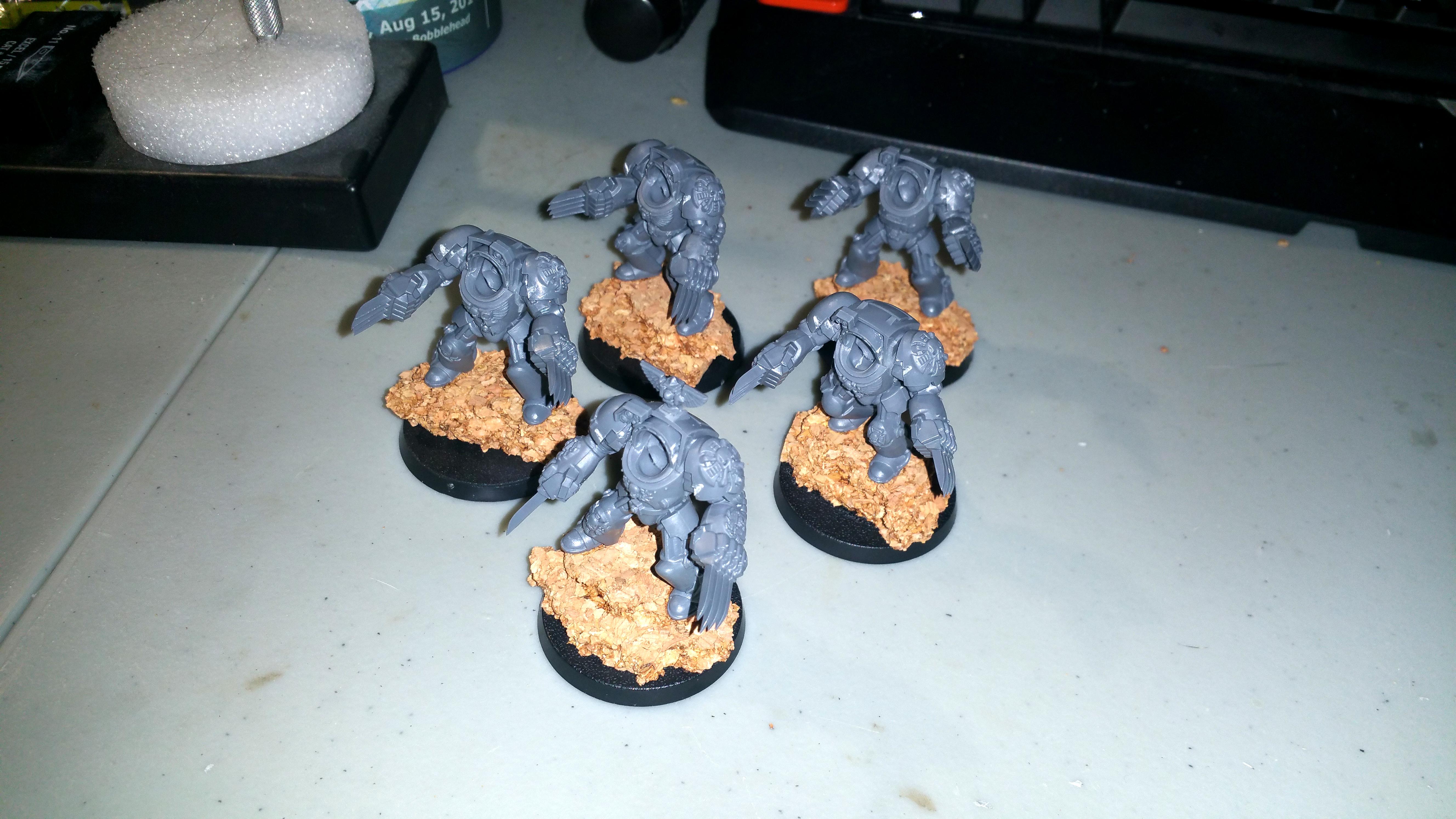 Assault Terminators, Lightning Claws, Space Marines
