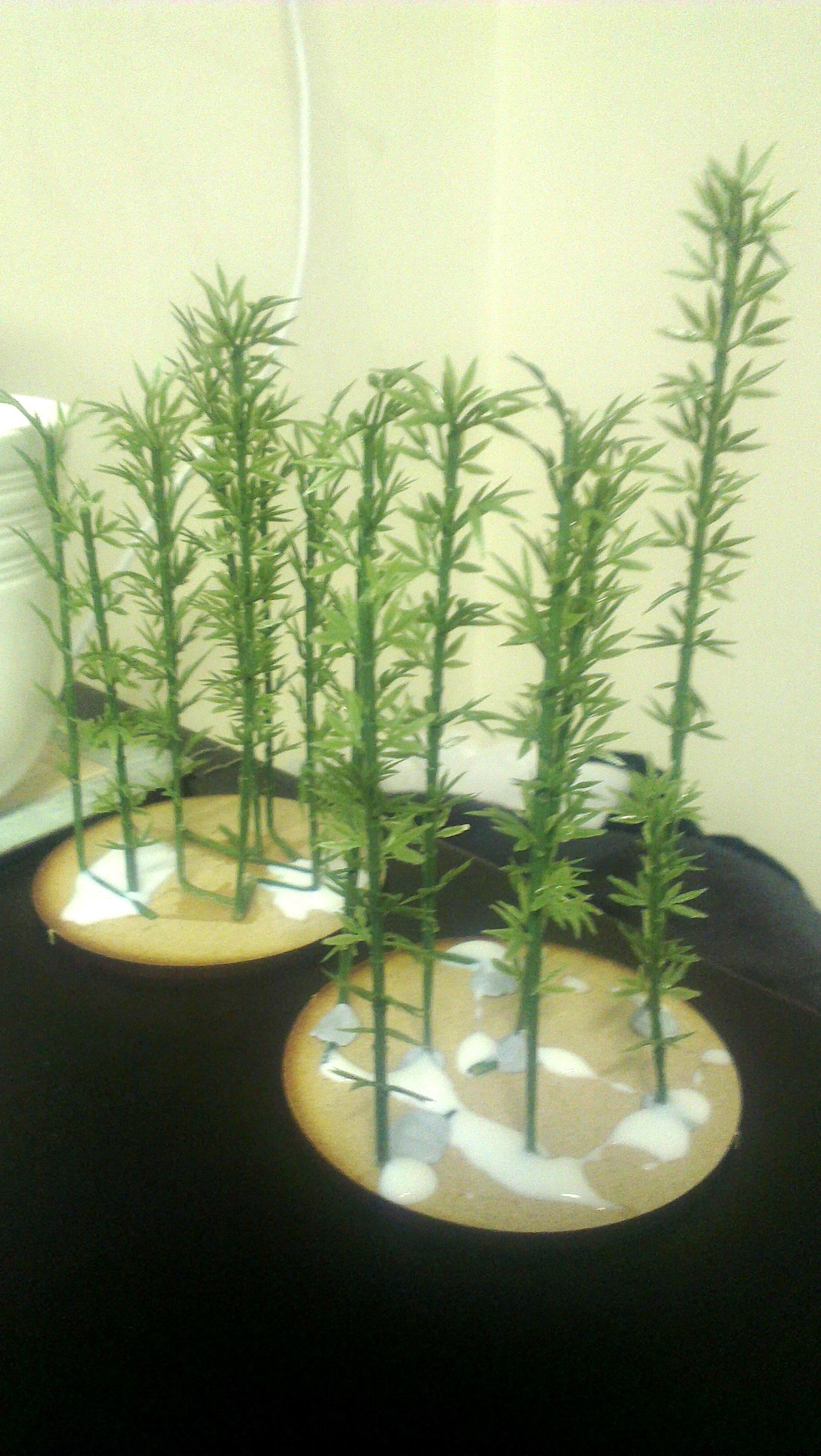 Bamboo, Historical, Japanese, Samurai, Terrain, Terrian