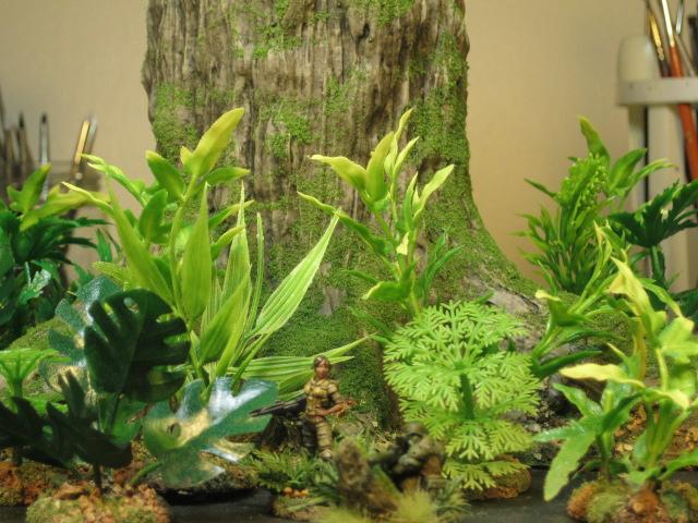 Jungle, Trees