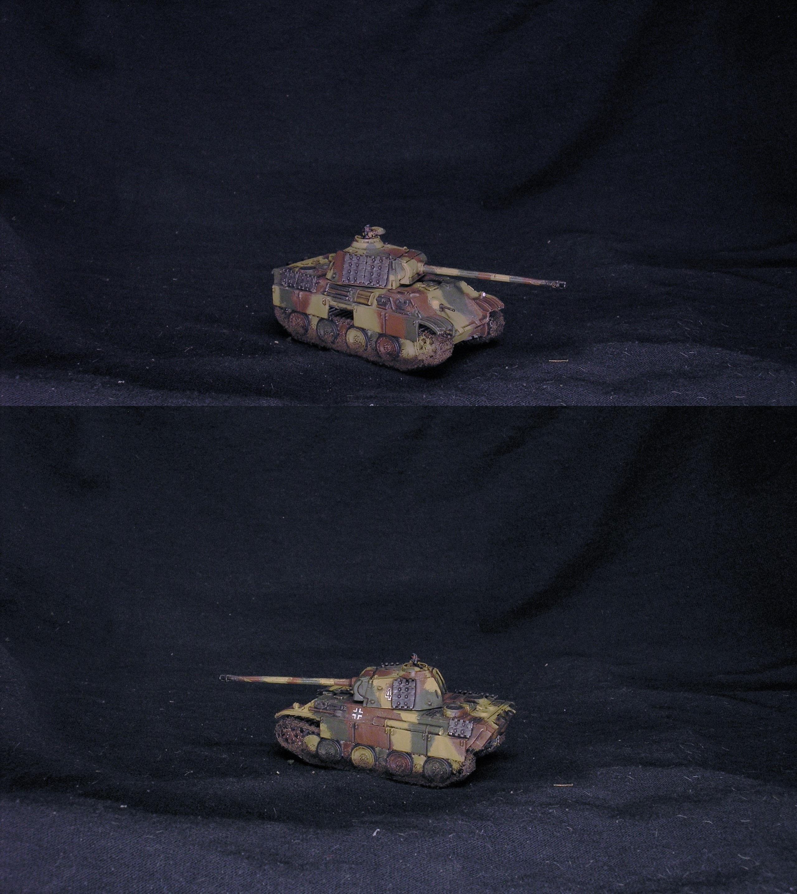 Panther G