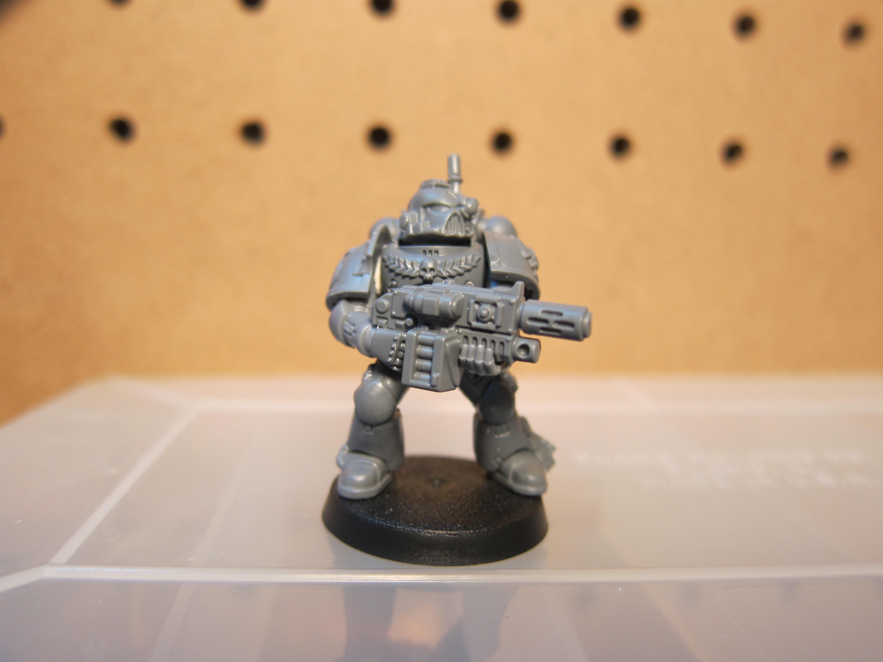 c-melta SG