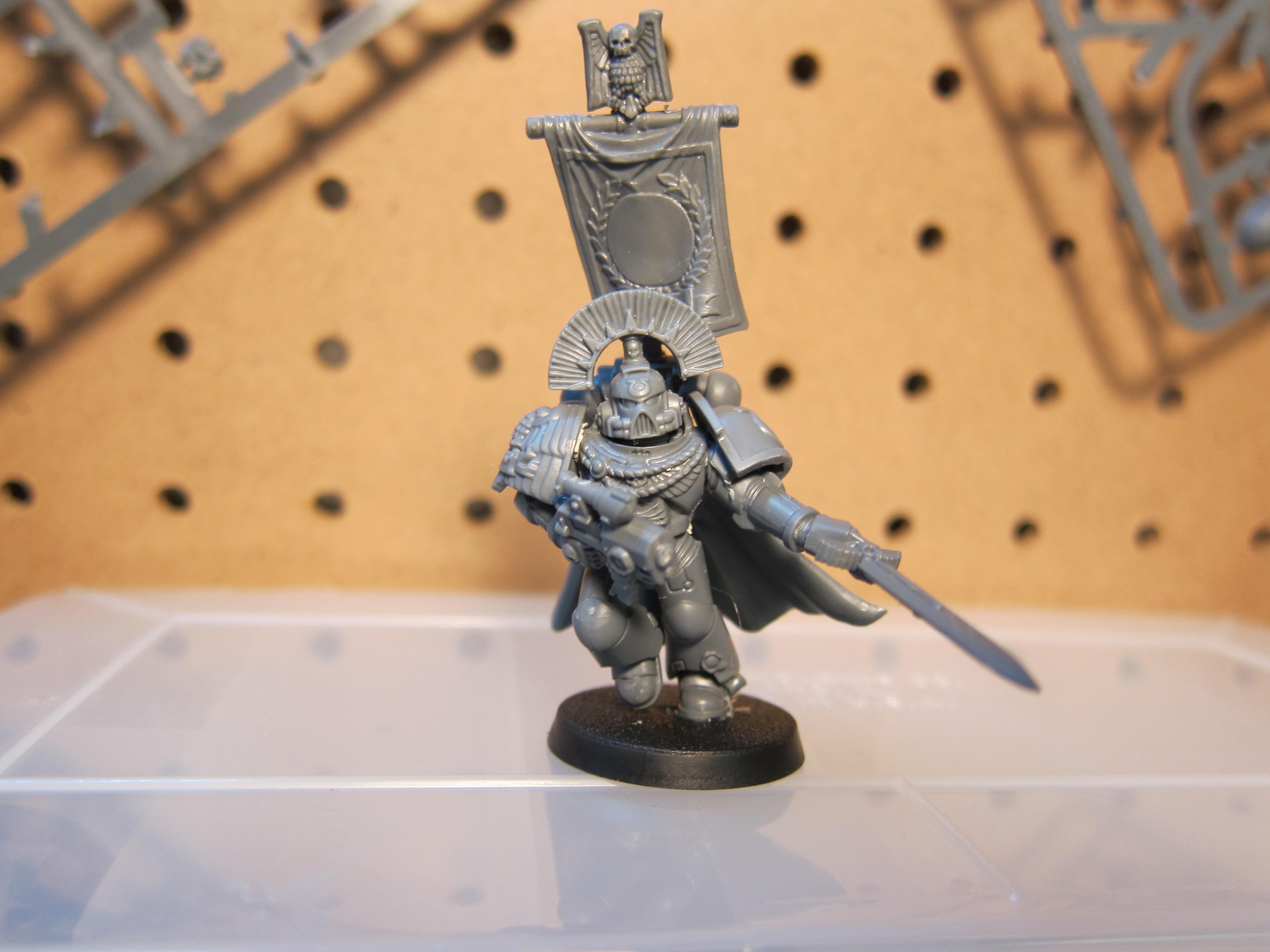 Sicarius