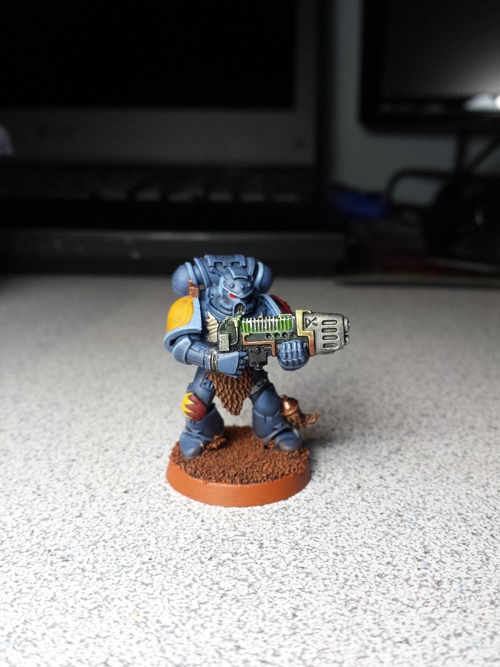 Plasma grey hunter