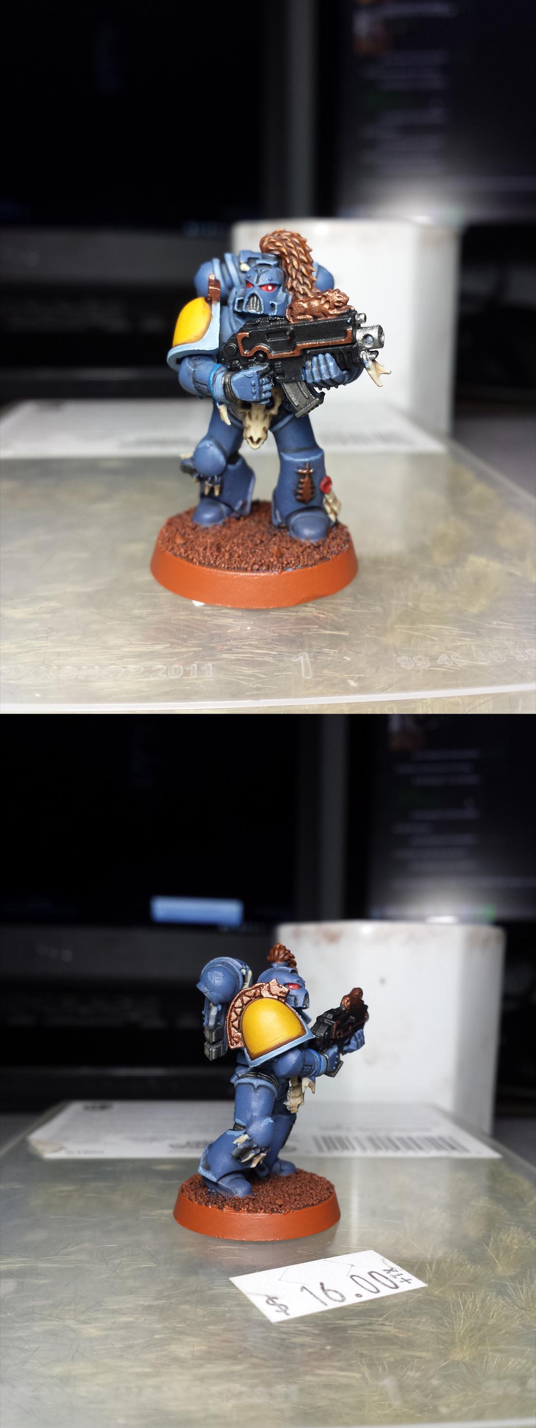 Grey hunter 1