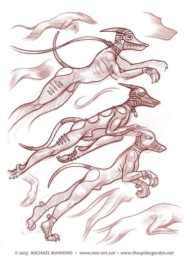 Dog man