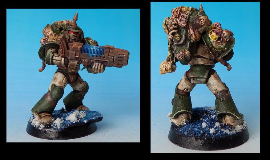 Death Guard, Nurgle, Plague Marines