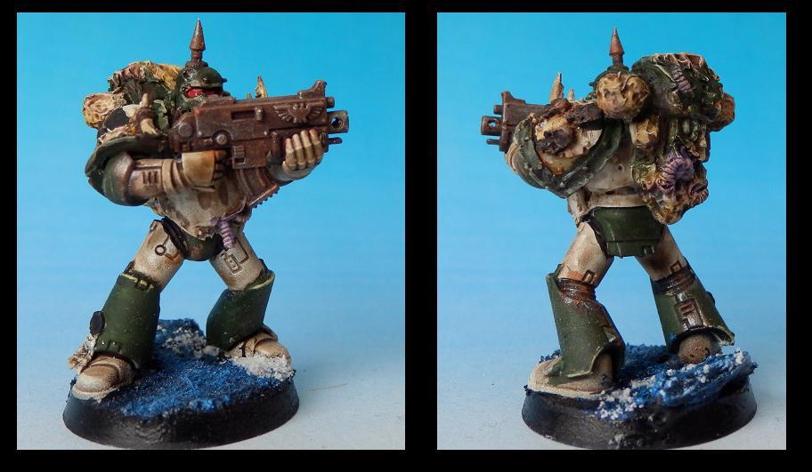 Death Guard, Nurgle, Plague Marines