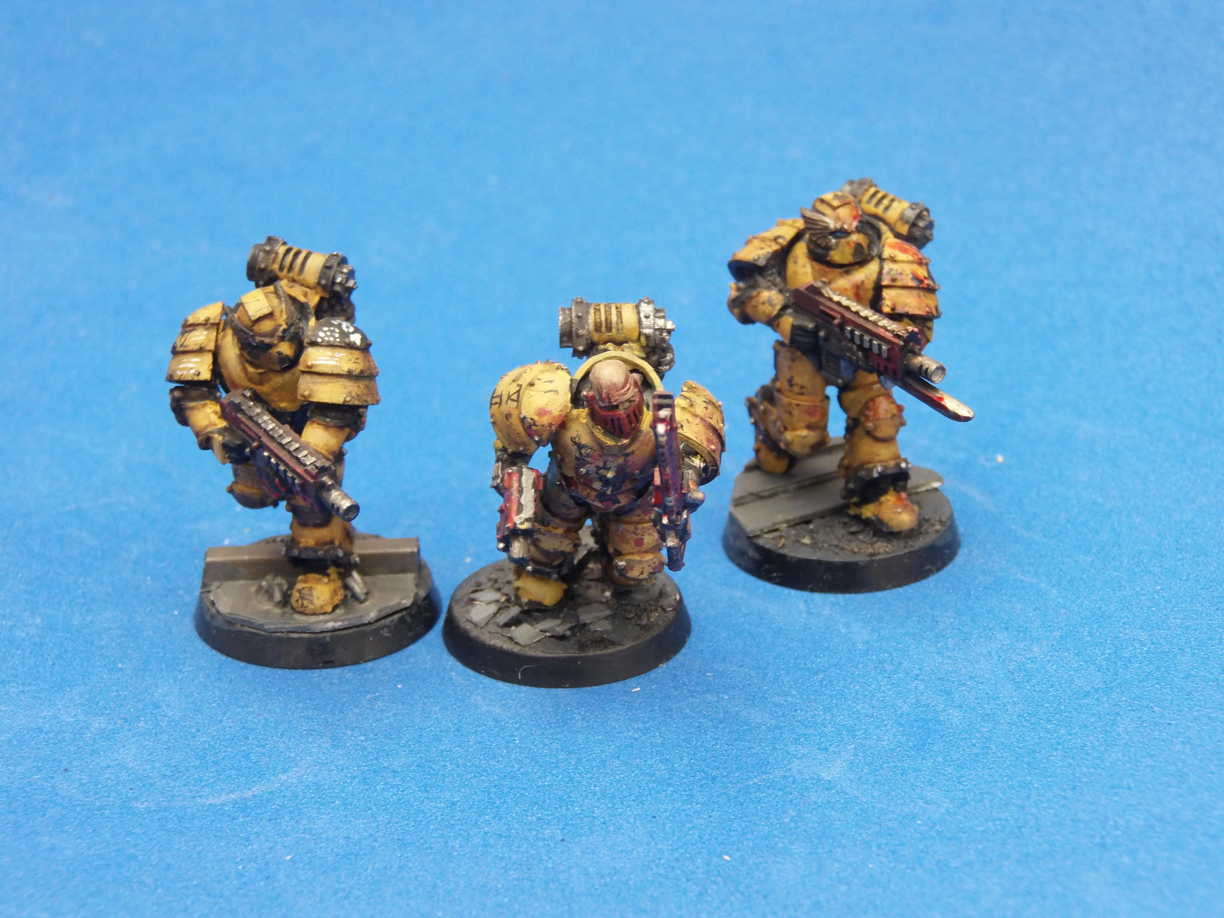 Imperial Fist Sternguard