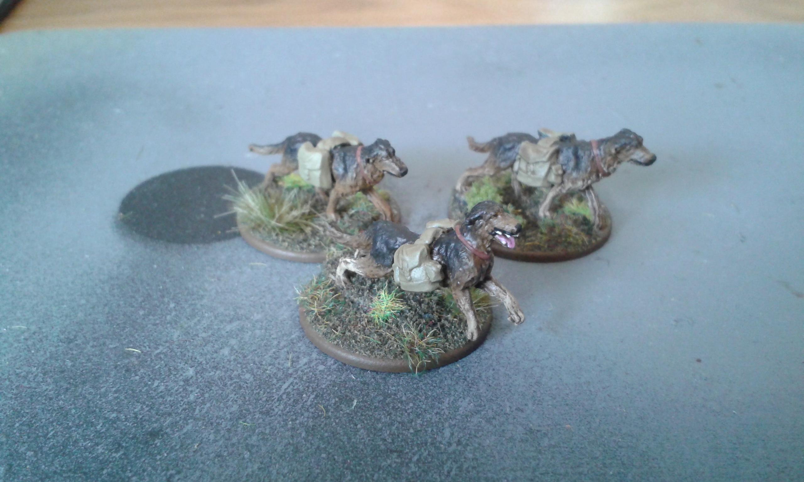 World War 2, Soviet Anti Tank Dogs_1