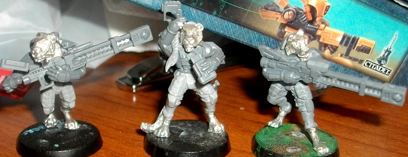Cat Men, Conversion, Lions, Pathfinders, Tau