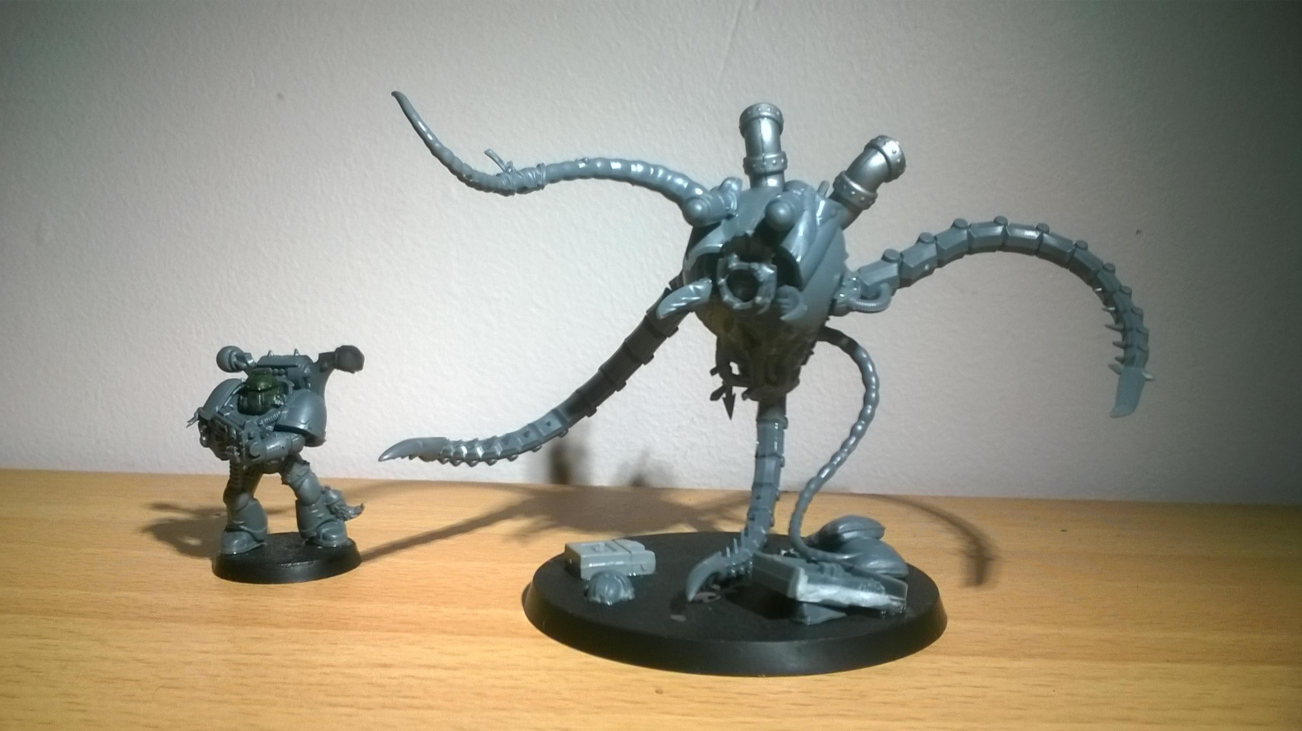 Size comparison