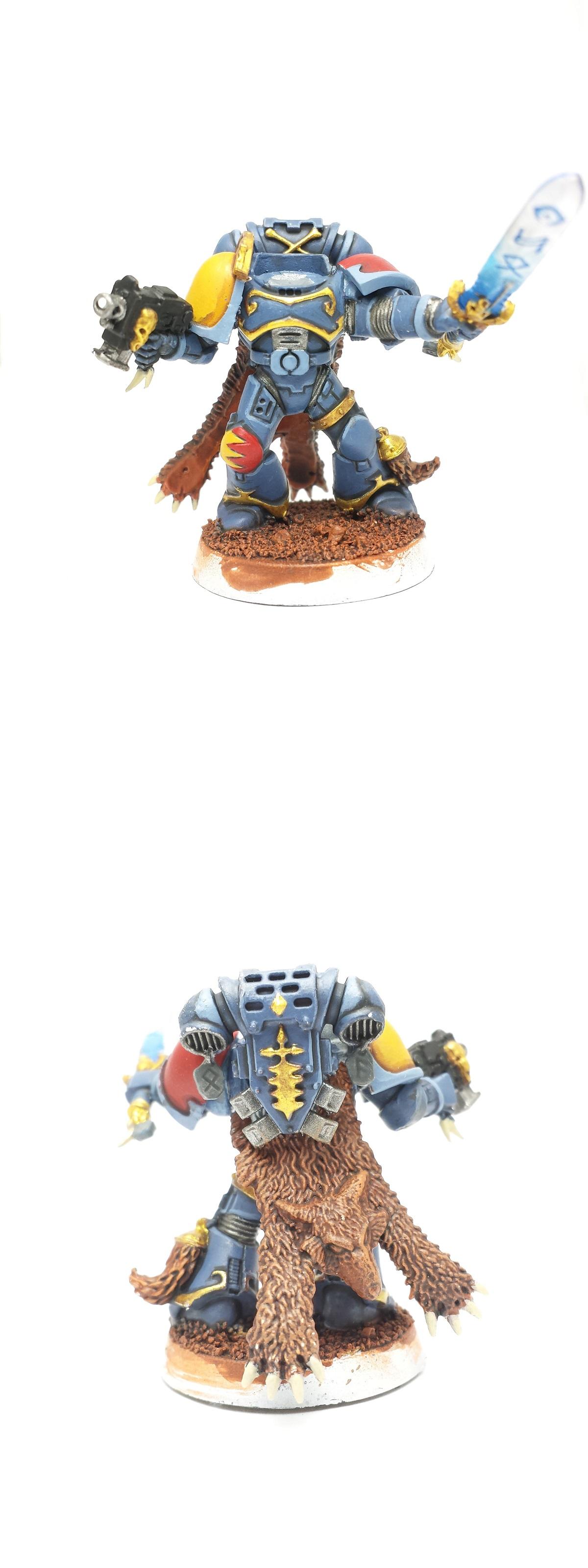 Grey hunter captain 