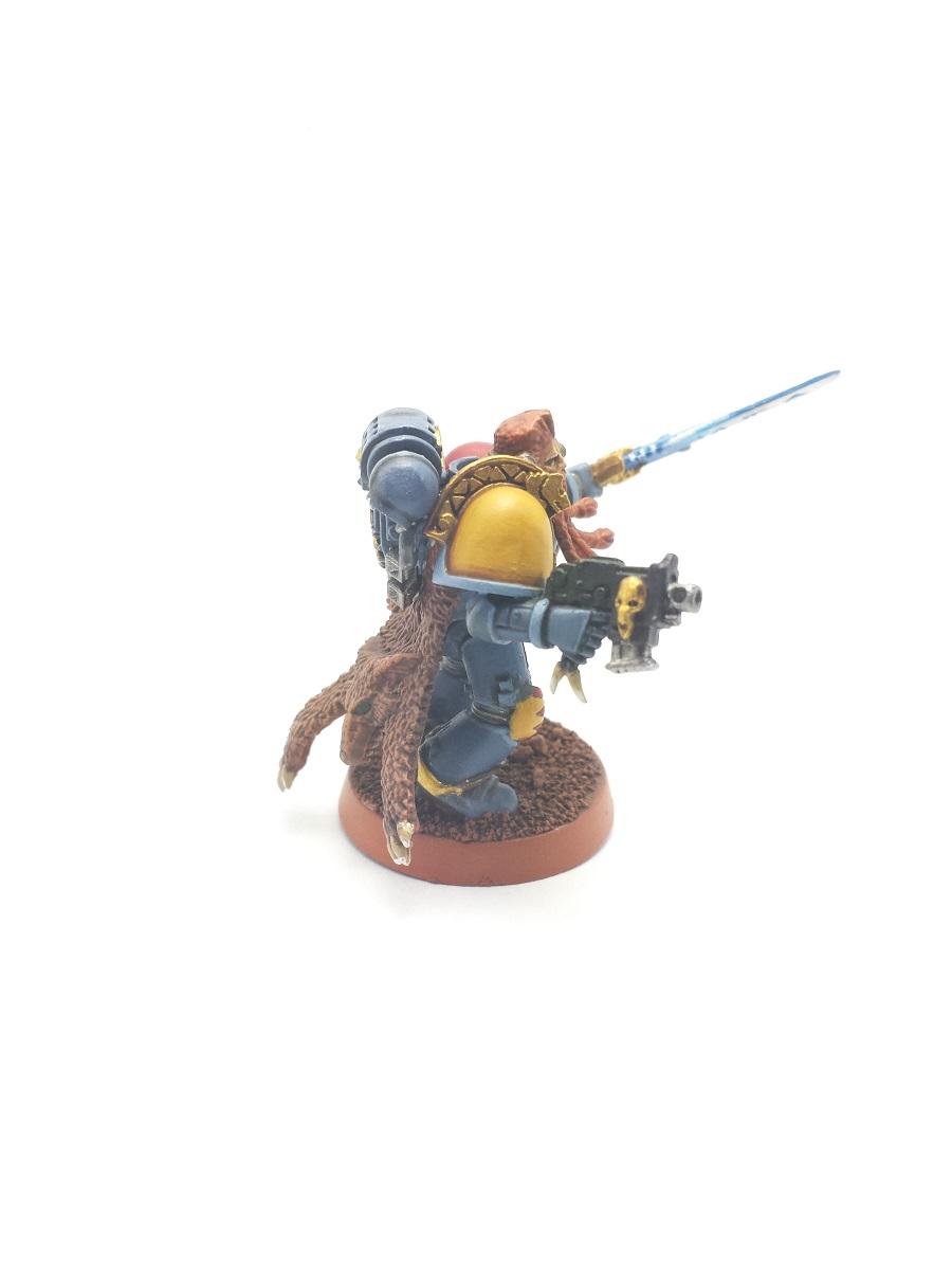 Grey hunter leader