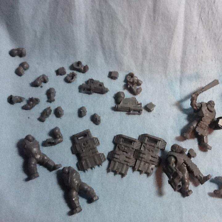 Bullgryn