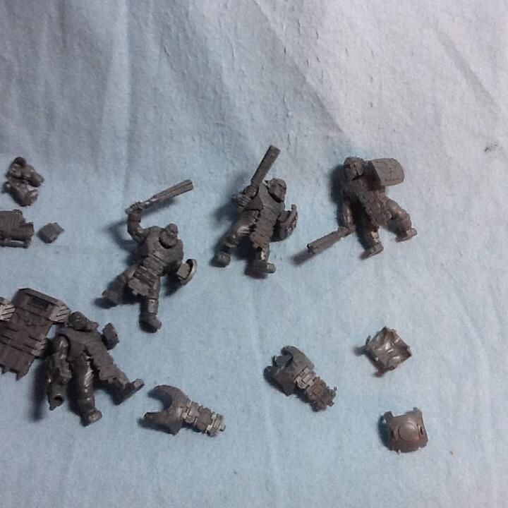 Bullgryn