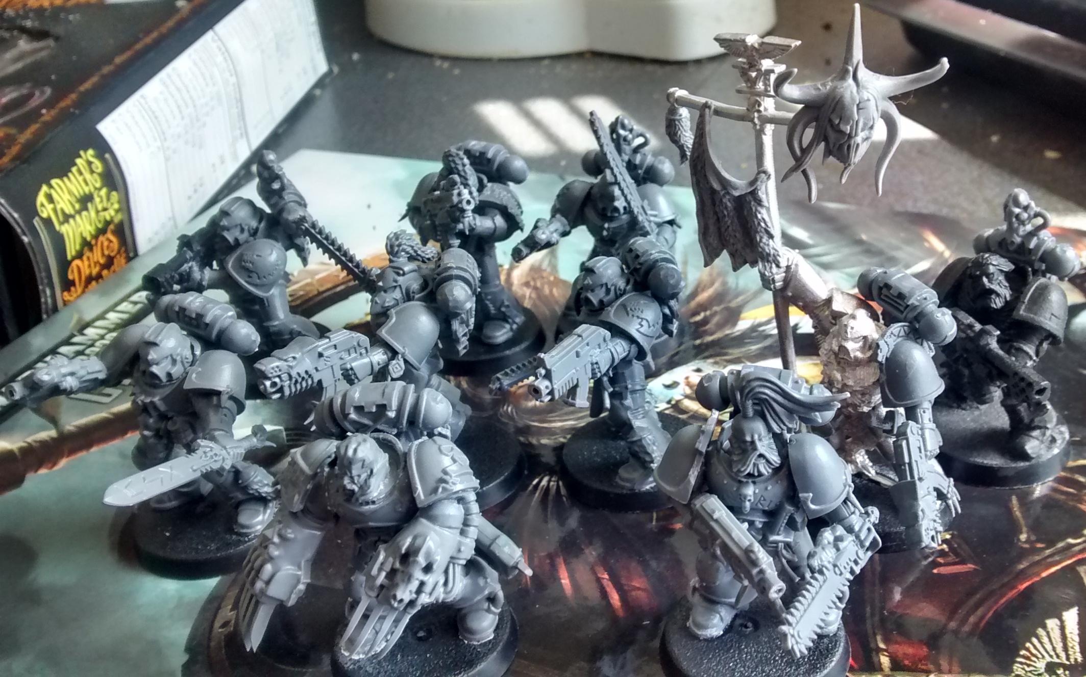 Grey Hunters, to be carried by a Drop Pod
