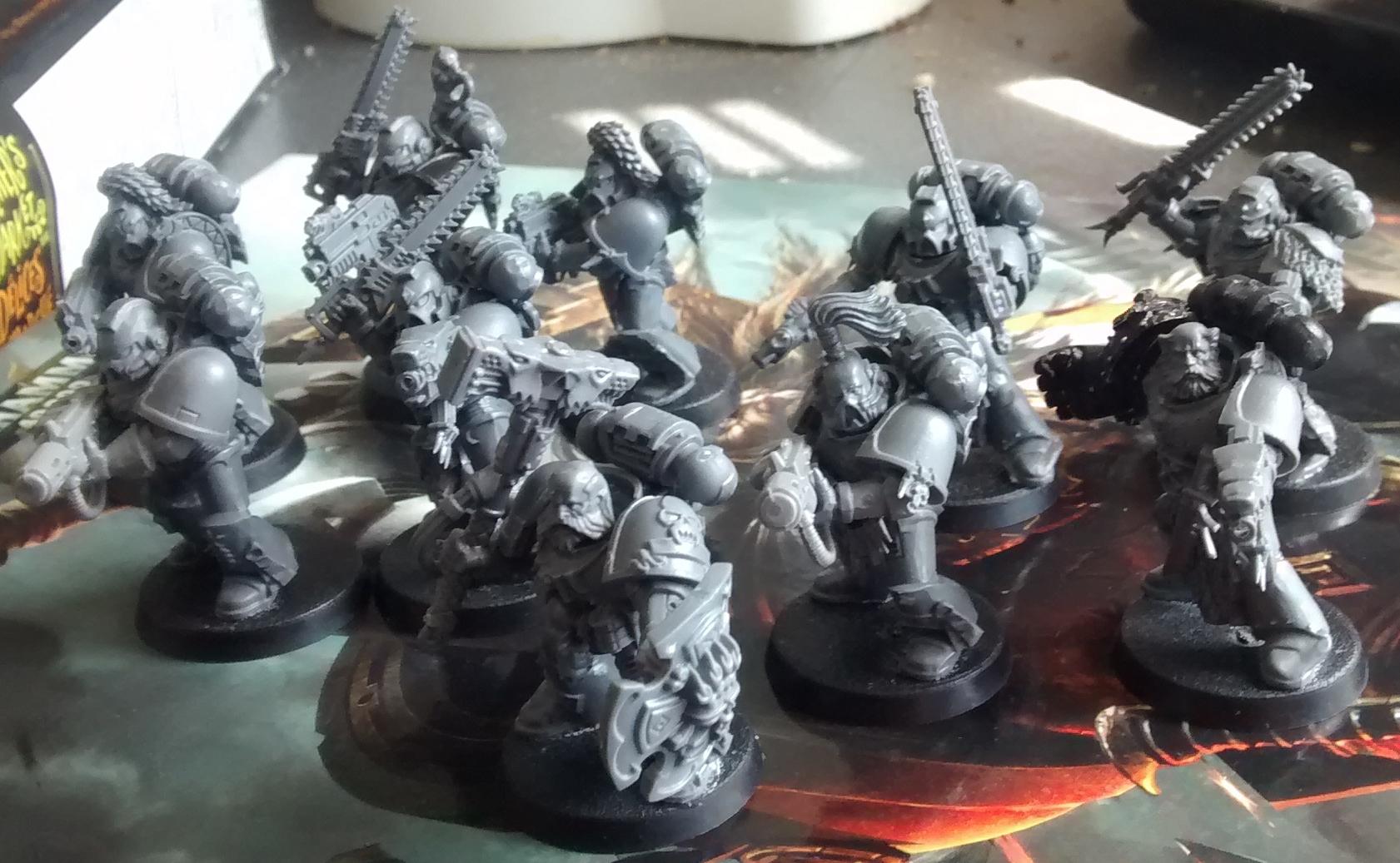 More Grey Hunters, these guys will also have a Drop Pod