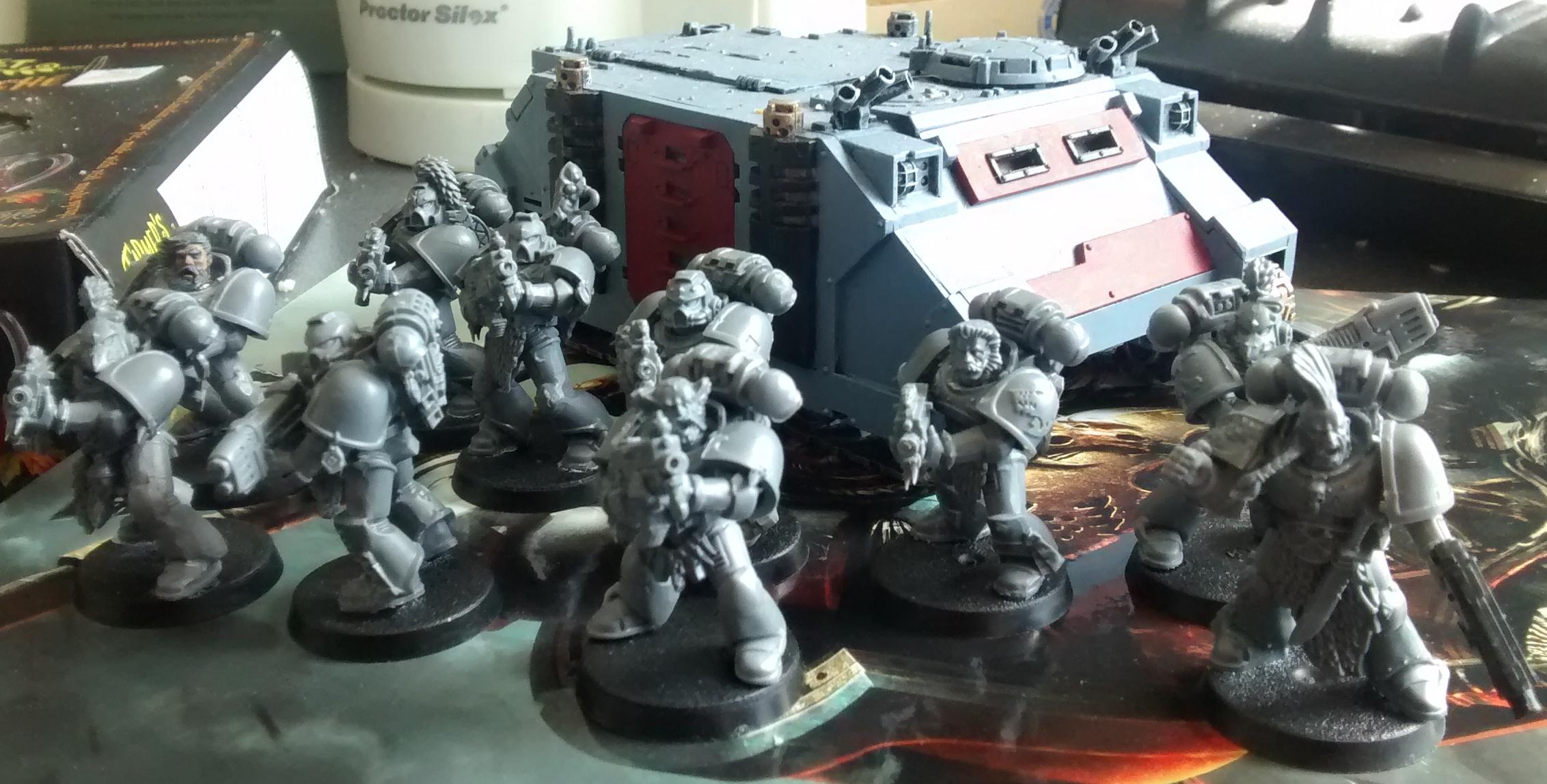 Another pack of Grey Hunters and their transport
