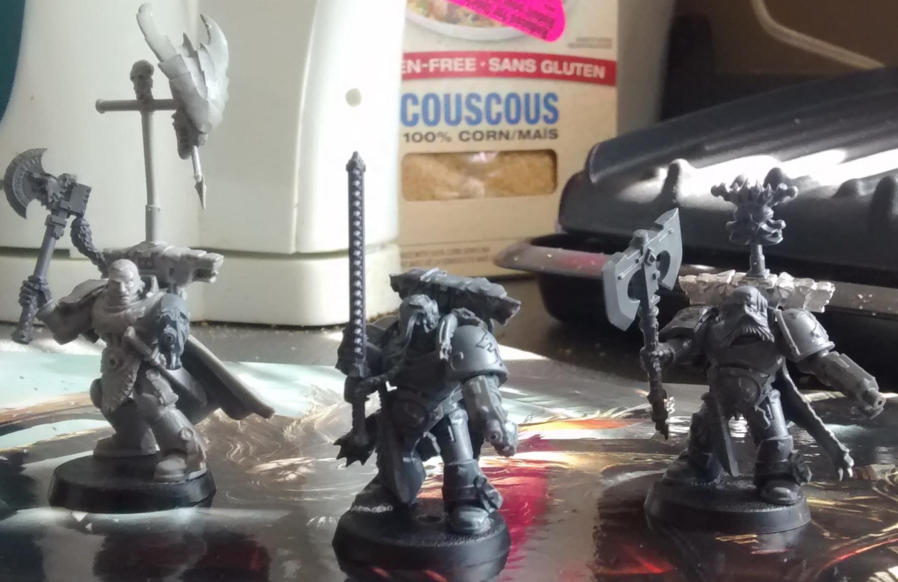 Here are my Wolf Lord/ Wolf Guard Battle Leader models