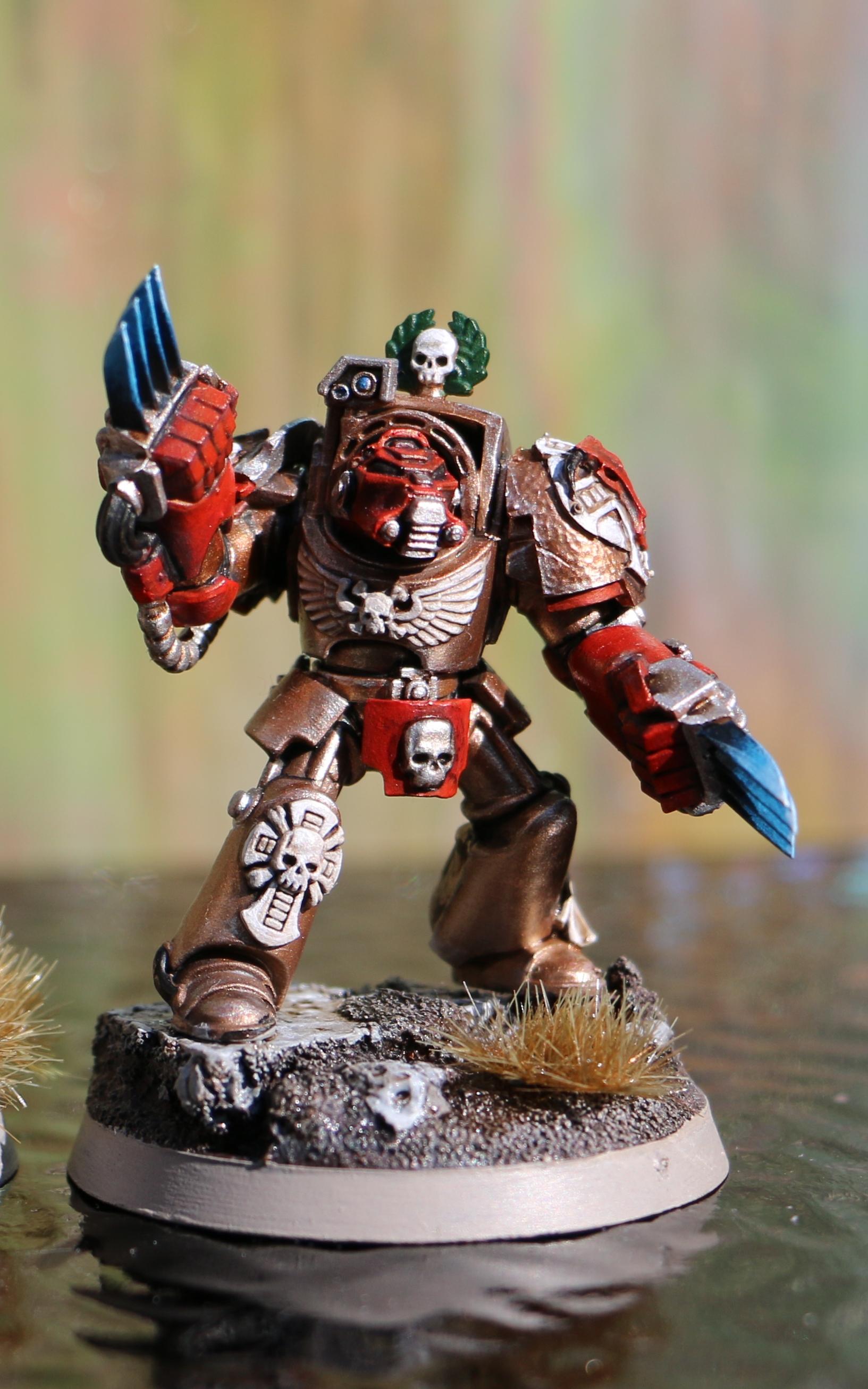 Minotaurs, Space Marines