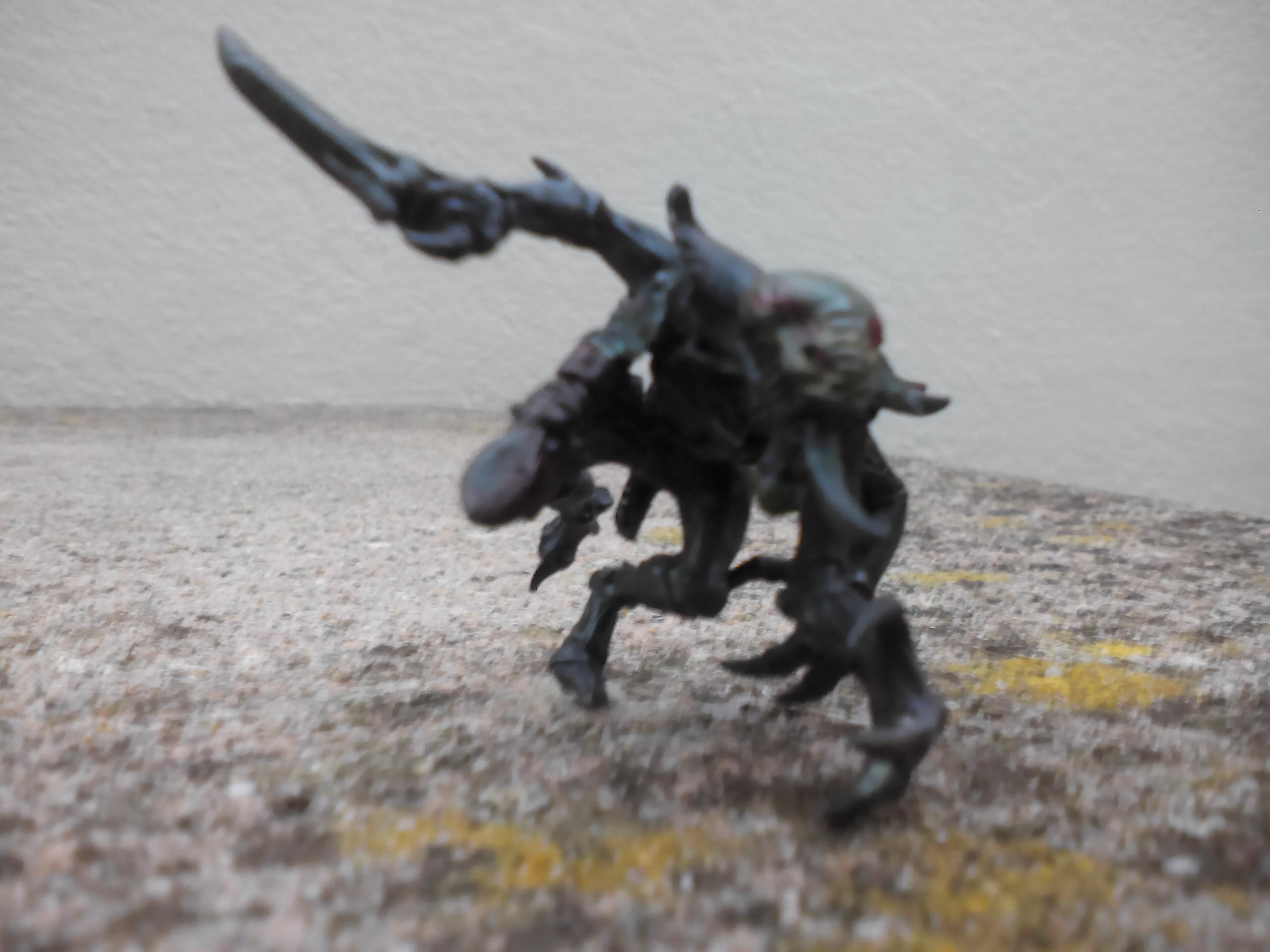 Project, Space Hulk