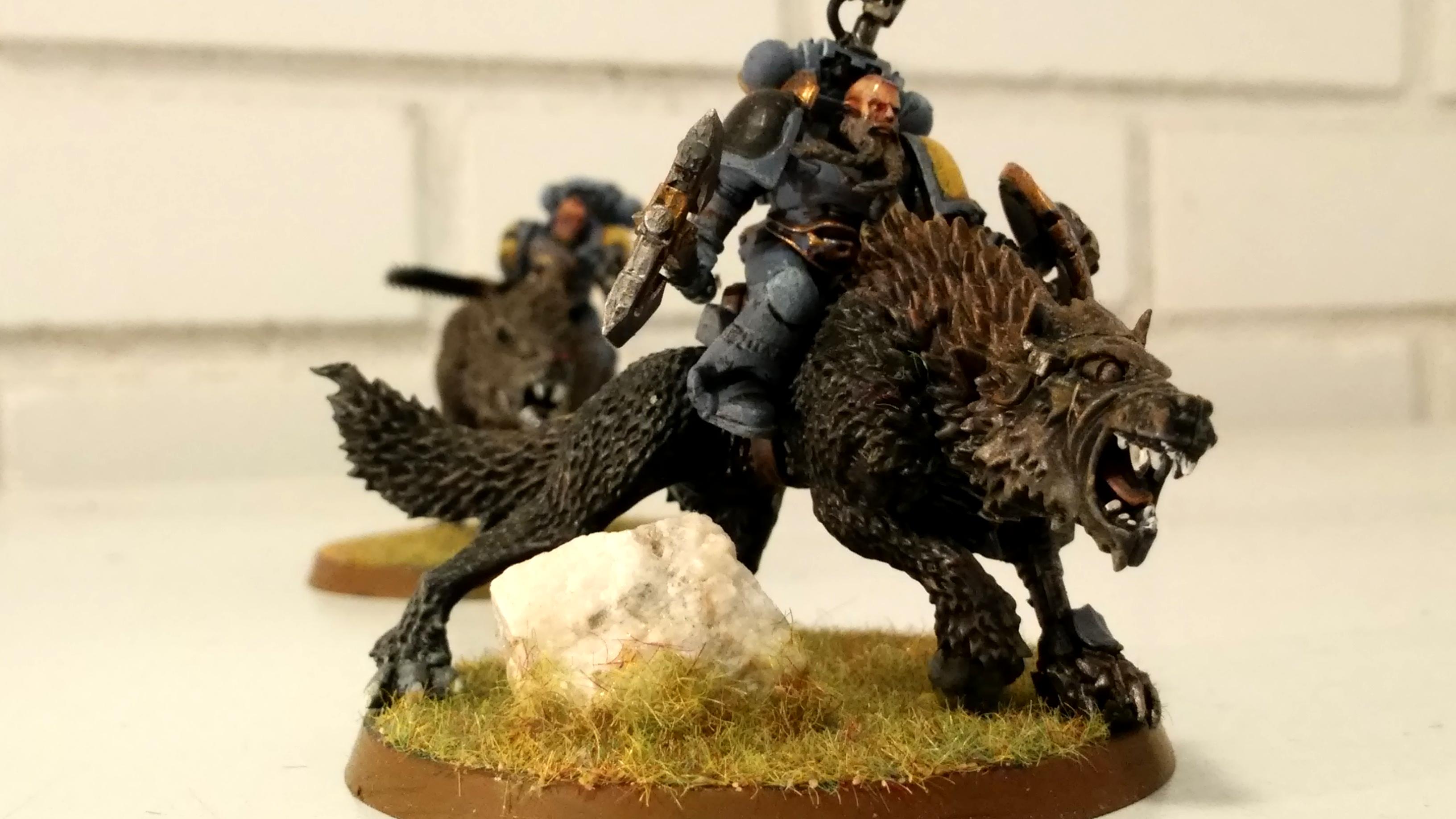 Space Wolves, thunderwolf 2