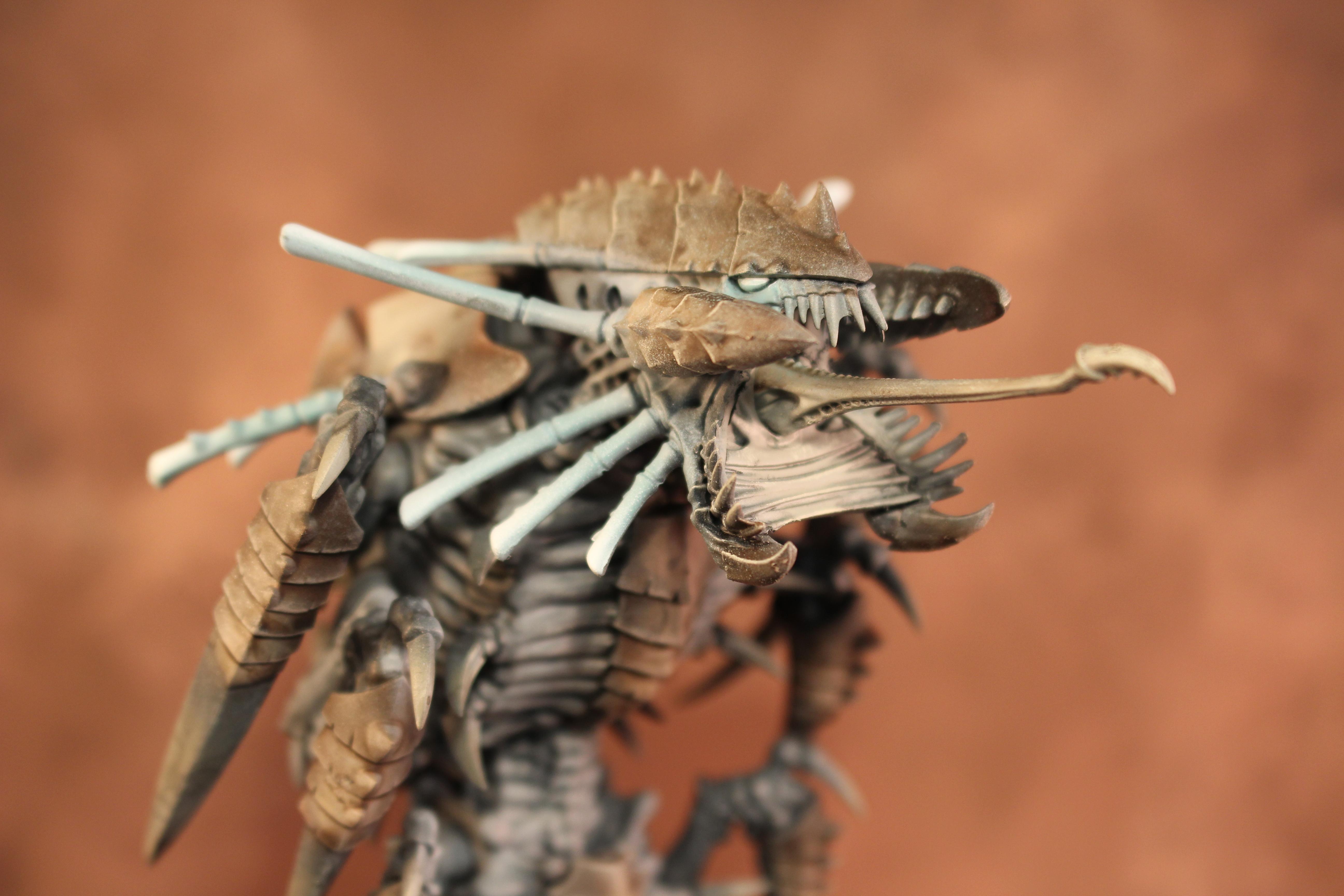 Mawloc, Tyranids