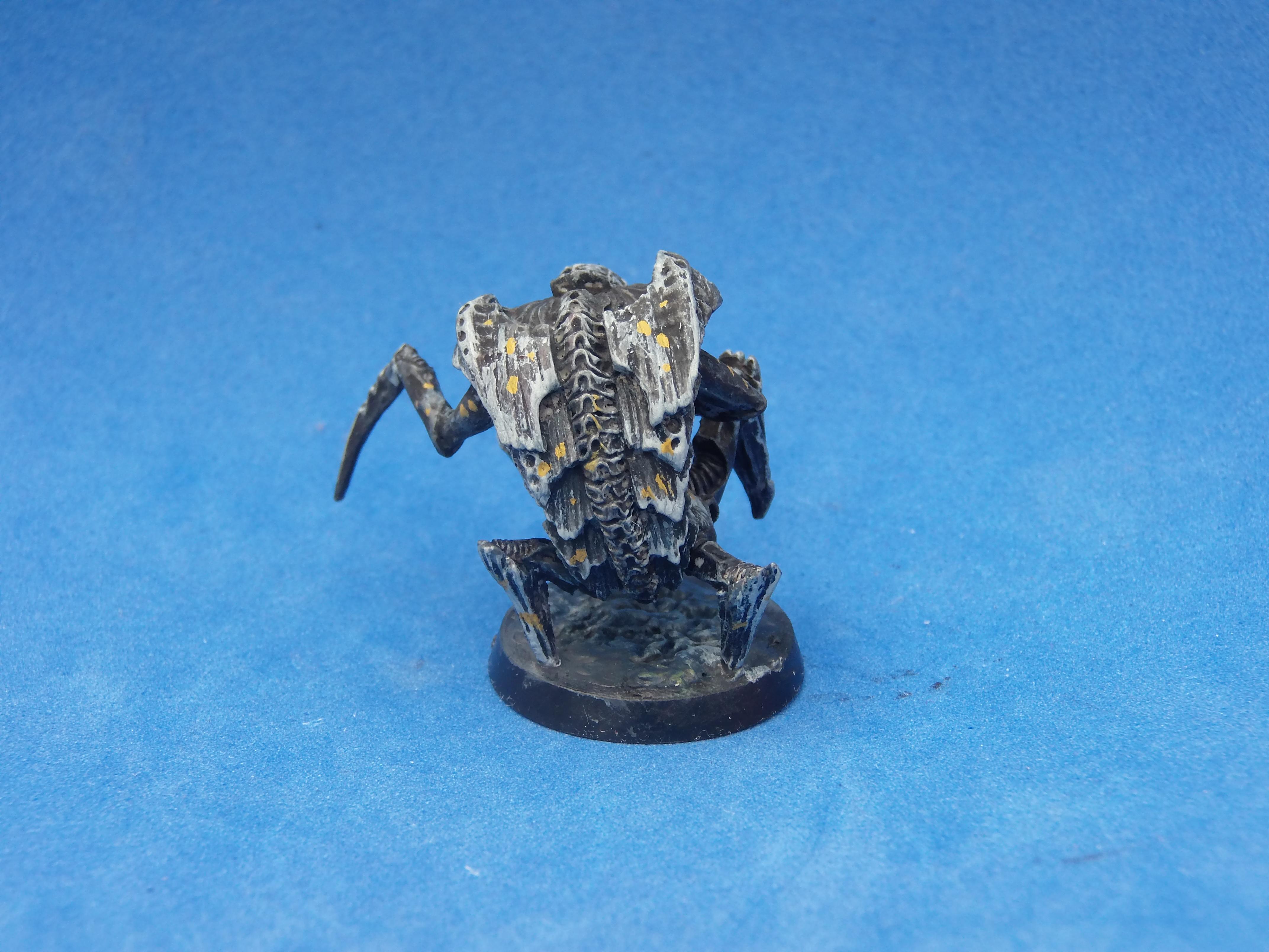 Insectoid Warrior 1