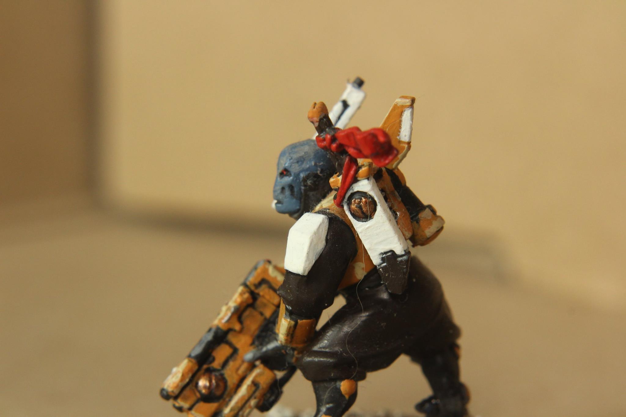 8, Burst Cannon, Crisis Battlesuit, Drone, Drones, Ethereal, Finders, Fire, Fire Warriors, Fusion, Fusion Rifle, Kroot, Missile, Missile Pod, Path, Pathfinders, Plasma, Pose, Pulse Rifle, Rifle, Stealth, Suit, Tau, Warriors, Xv, XV8