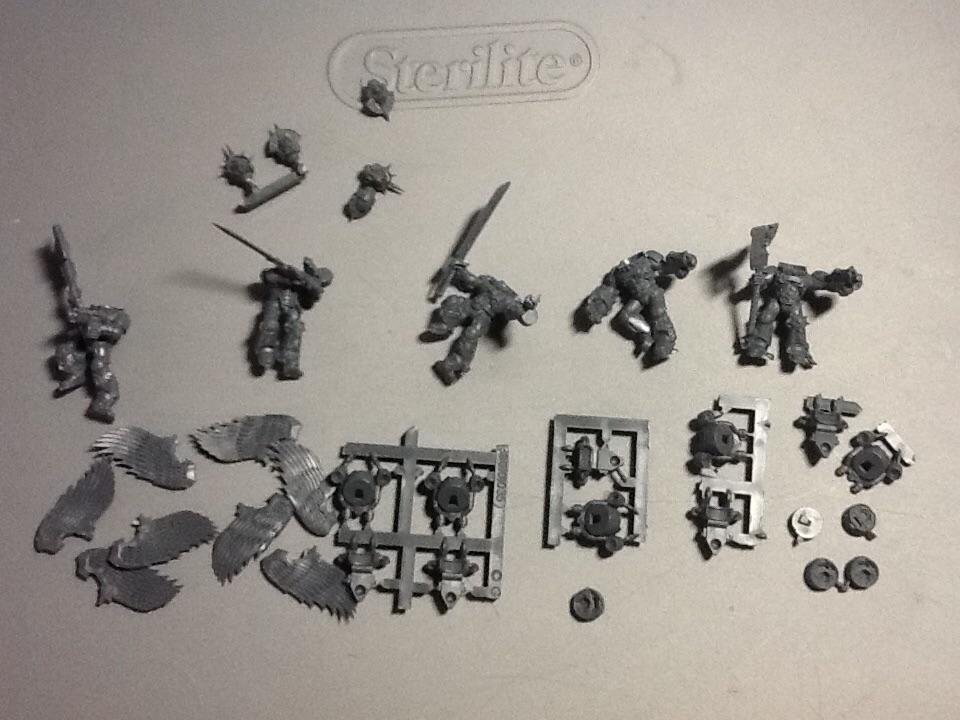 Blood angel sanguine guard 2