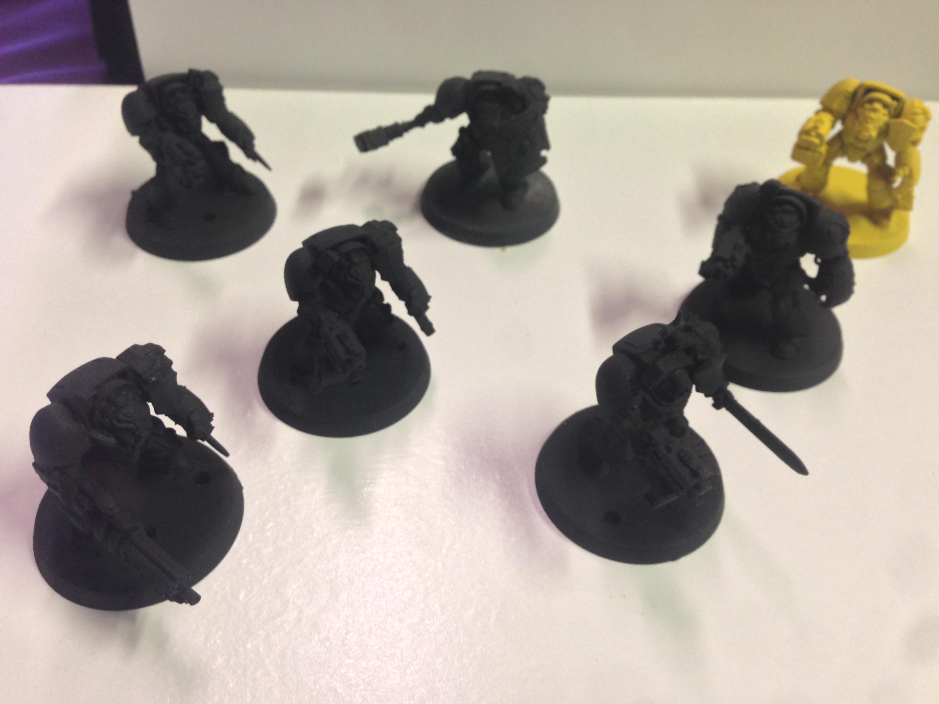 More Termies