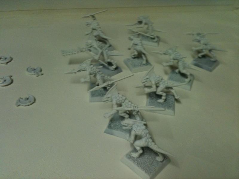 1skinkundercoat