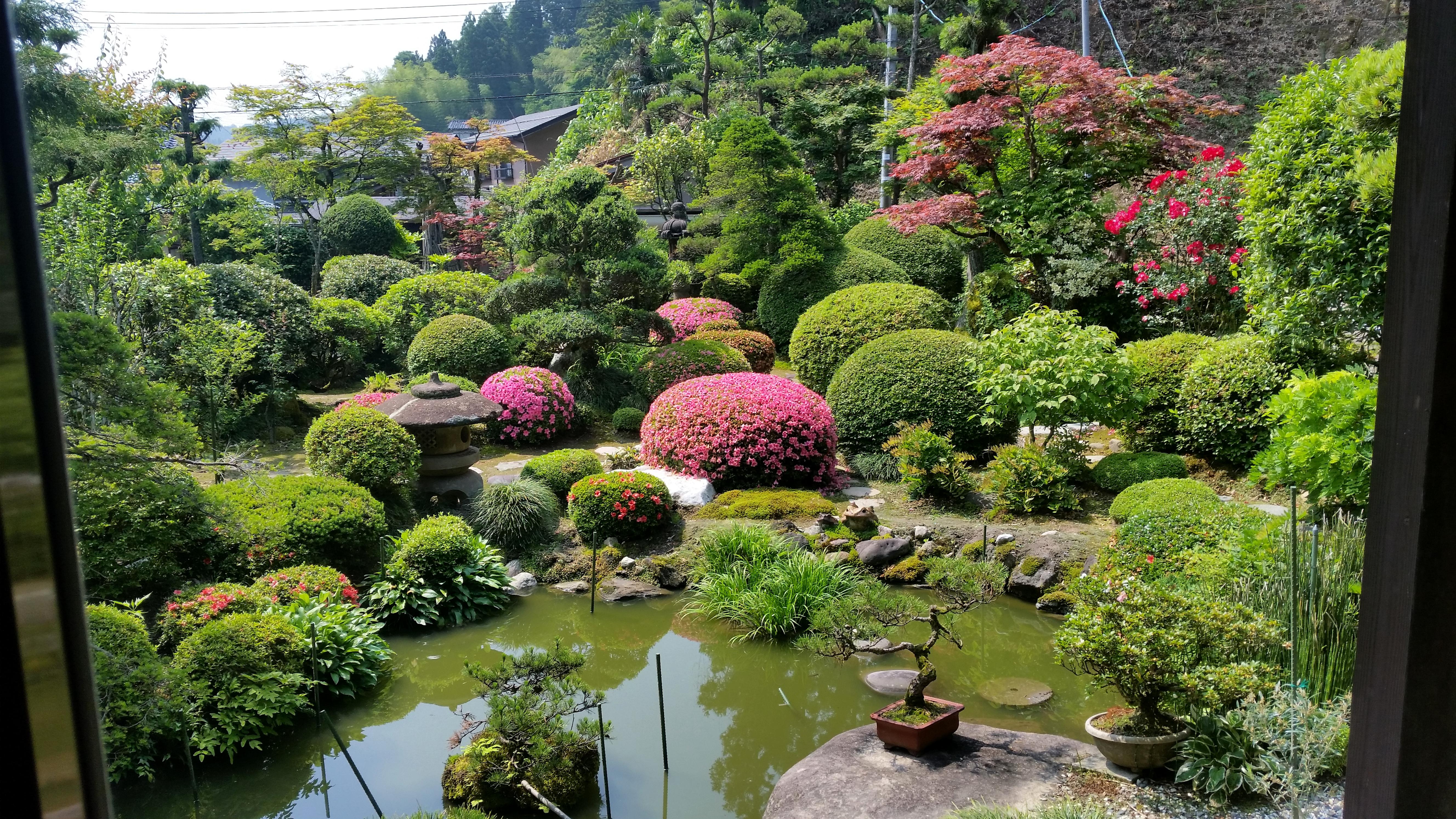 Front yard