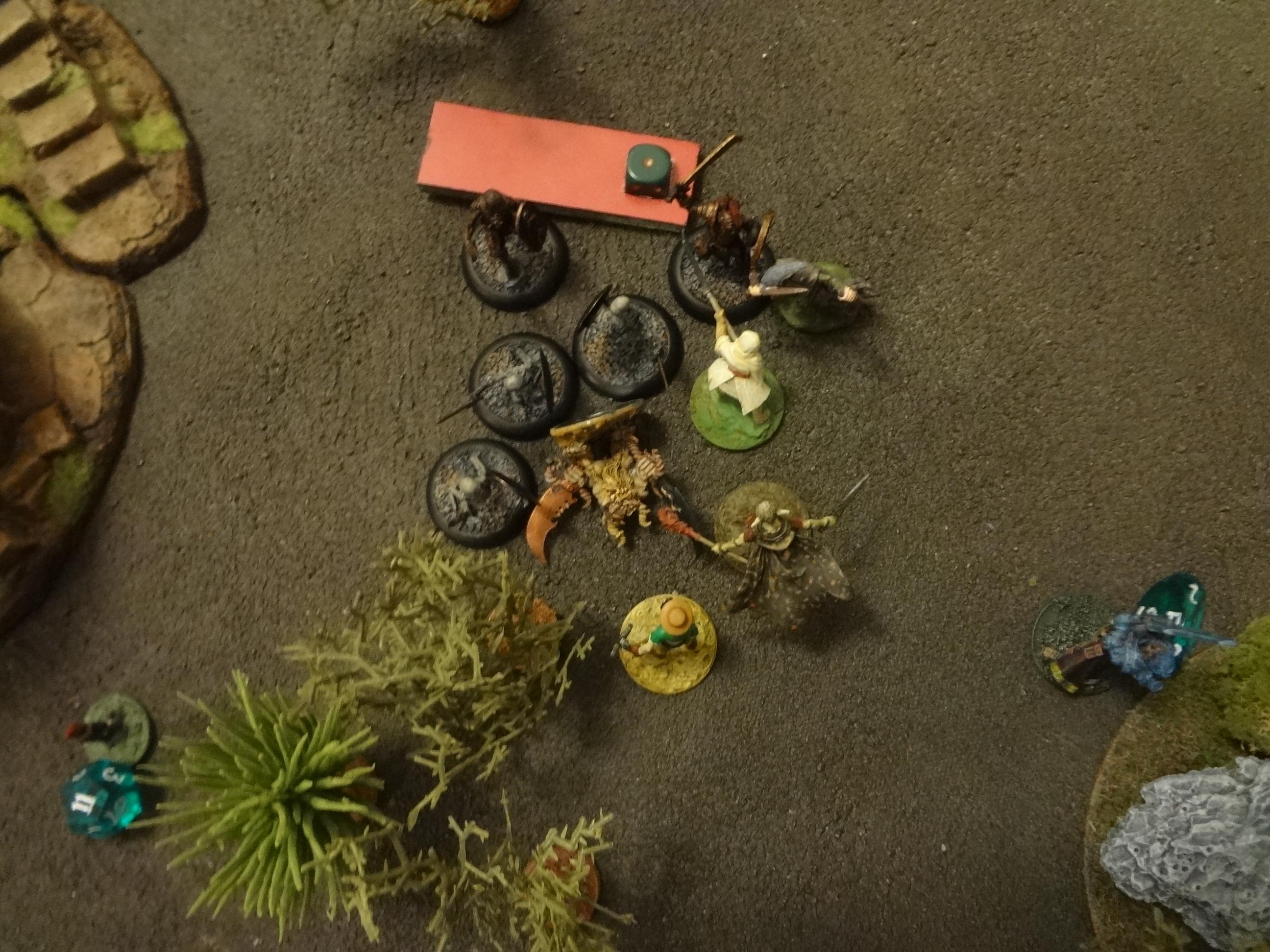 Do-it-yourself, Skirmish, Song Of Blades And Heroes, Warhammer Fantasy