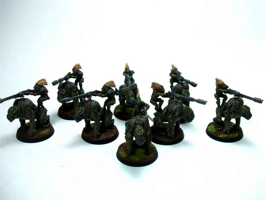 Kroot, Krootox, Mercenary, Tau
