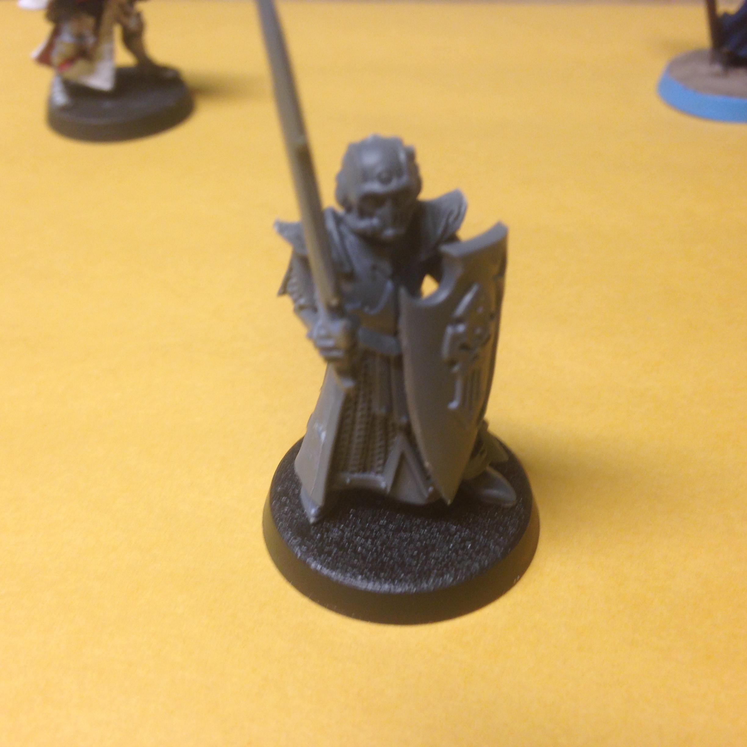 Crusaders, Dark Elves, Inquisiton, Kitbash, Witch Hunters