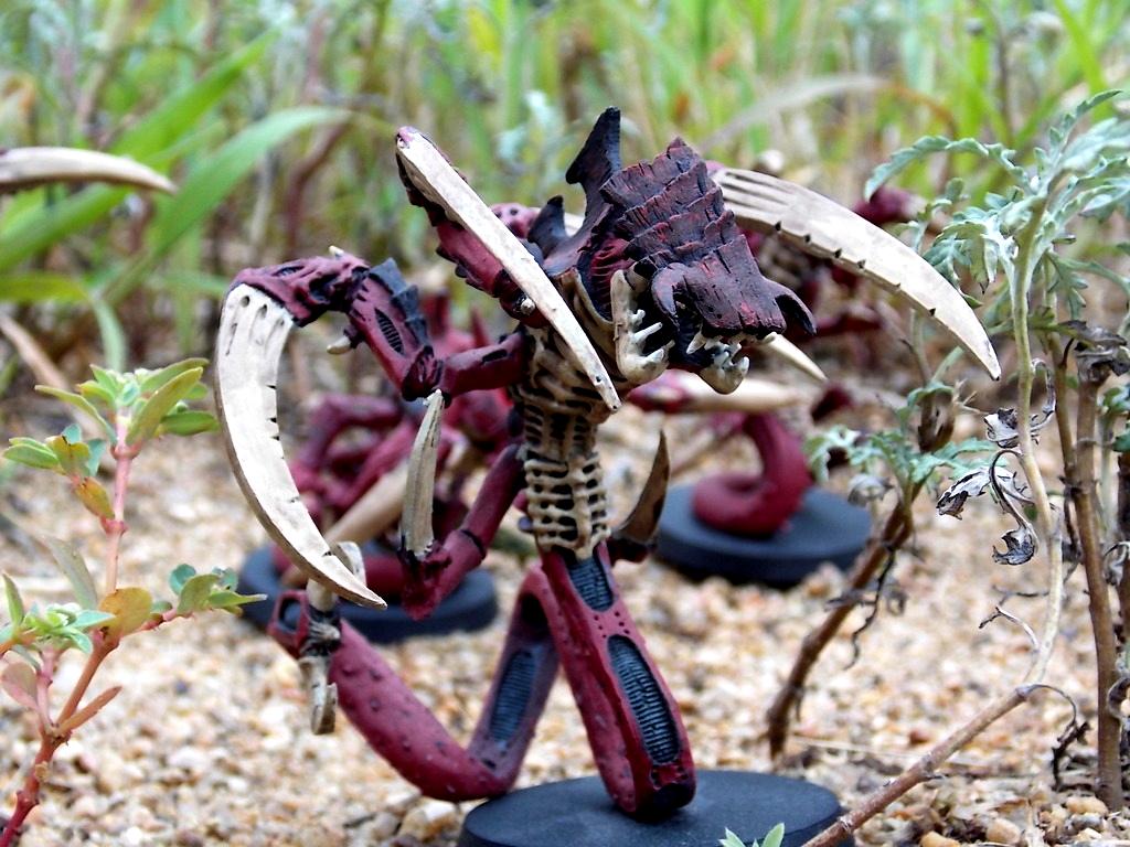 Daemonids, tyranids