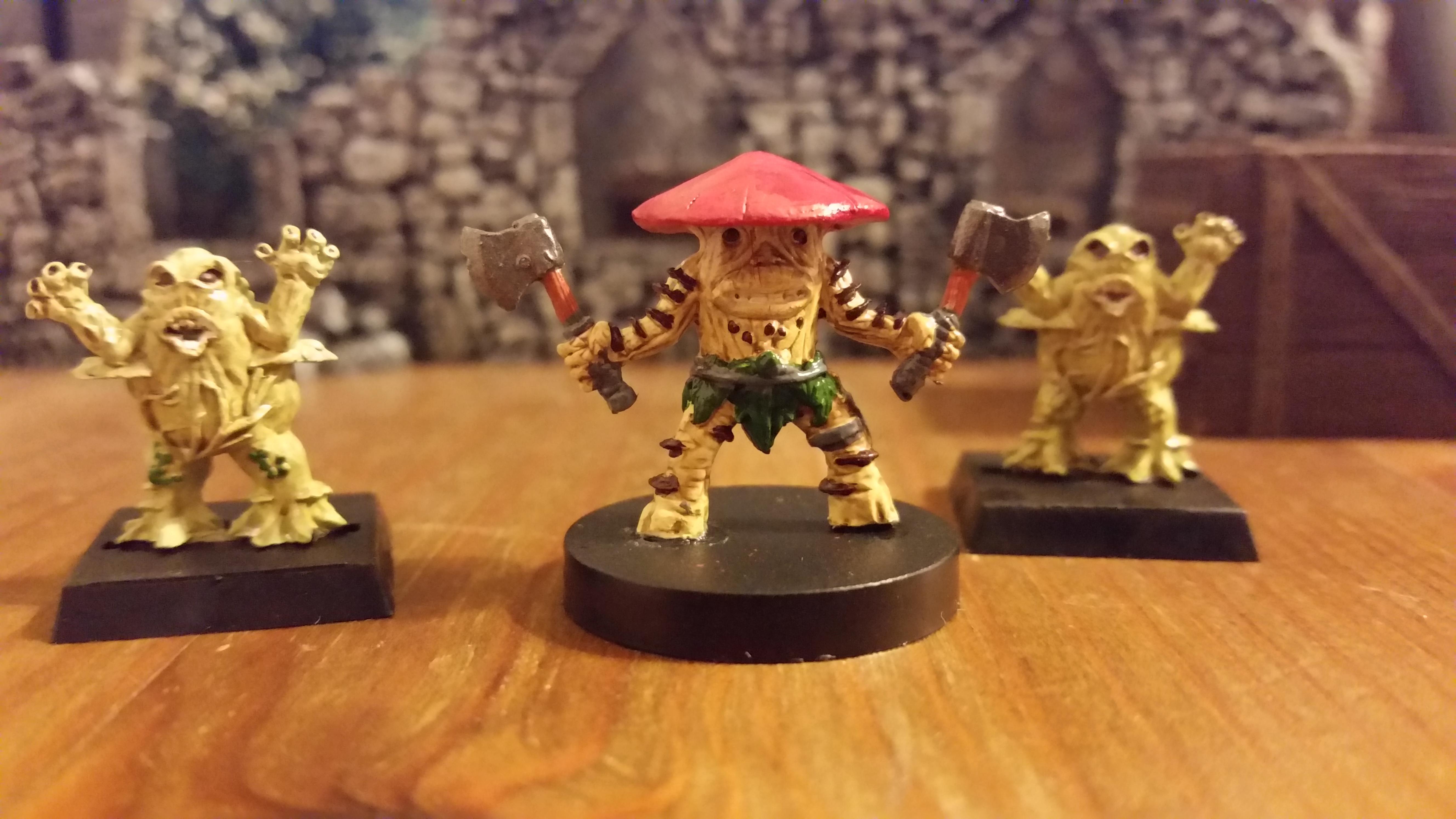 Fighting Fungi, Fungi, Ganehsa, Mushroom