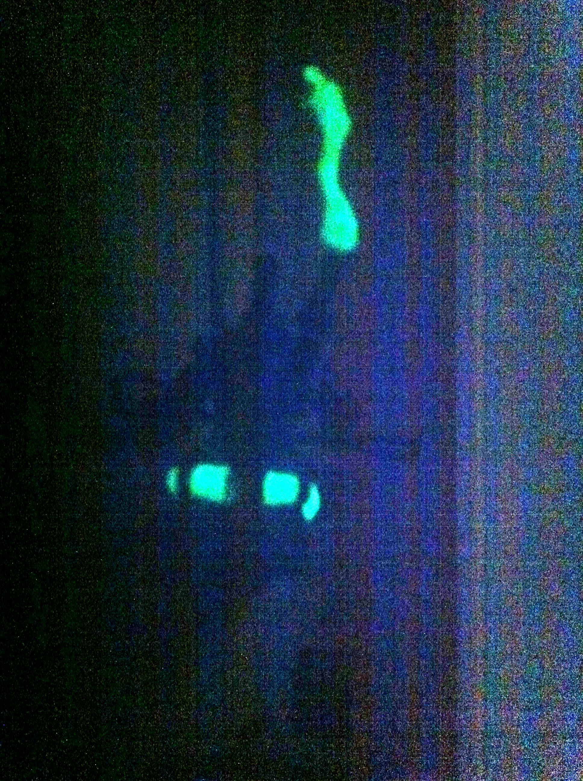 D'Orkinator glow